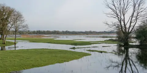 An image depicting the trail Aghrane Loop and its surrounding area.