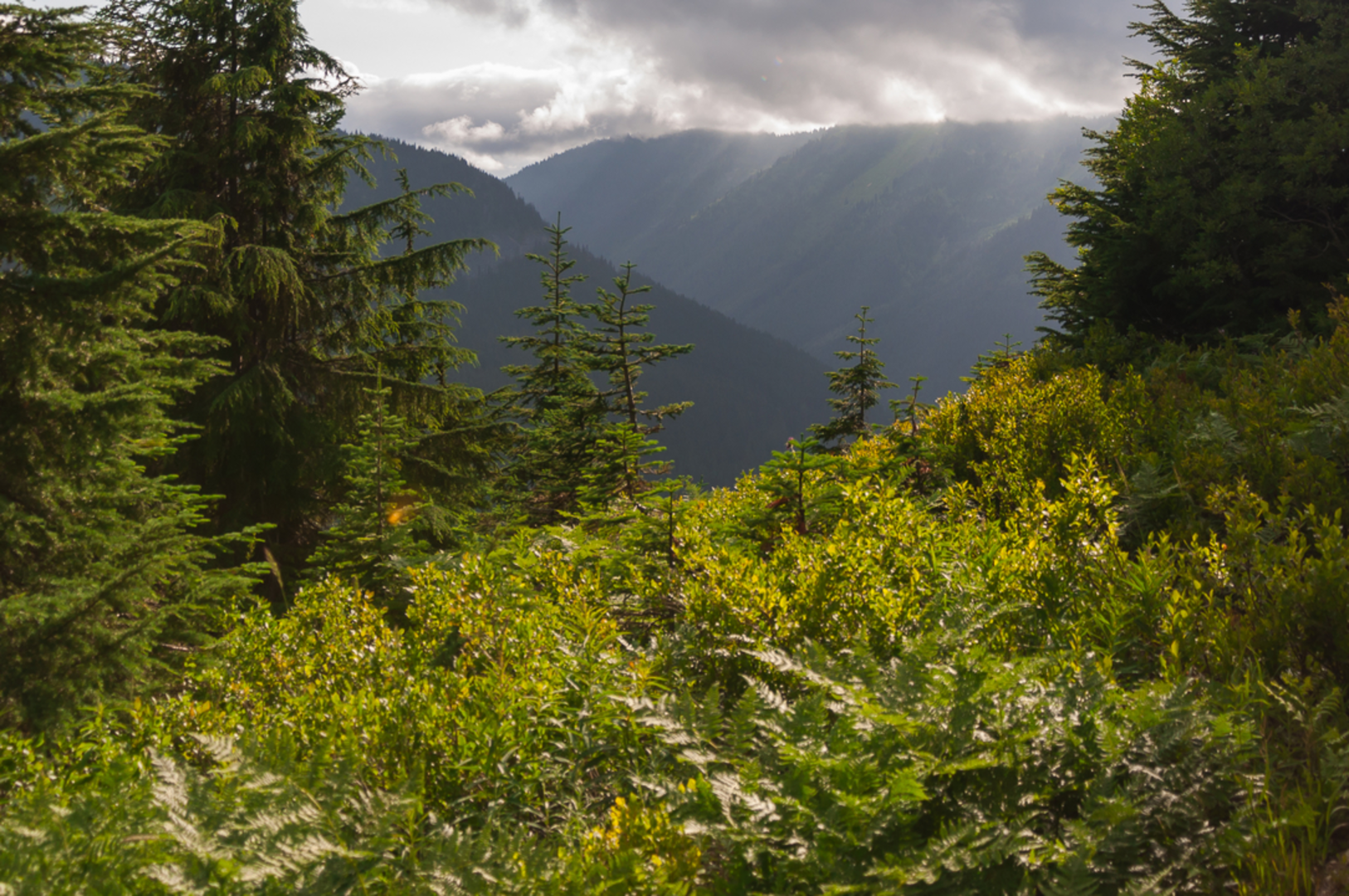 An image depicting the trail Lake Ethel Trail and its surrounding area.