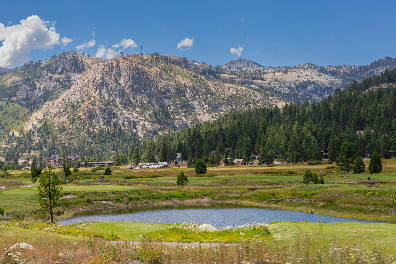 An image depicting the trail Tahoe Rim Trail from Tahoe City and its surrounding area.