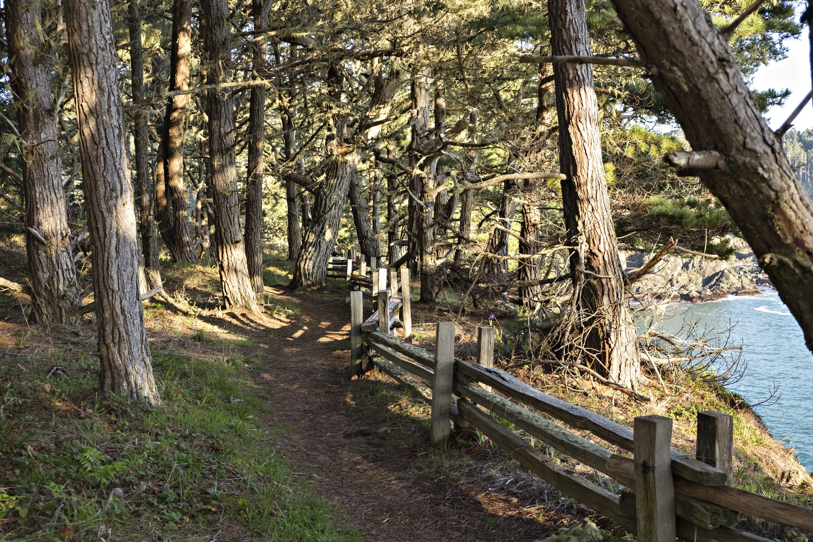 An image depicting the trail Fern Canyon, Falls and North Loop Trail and its surrounding area.