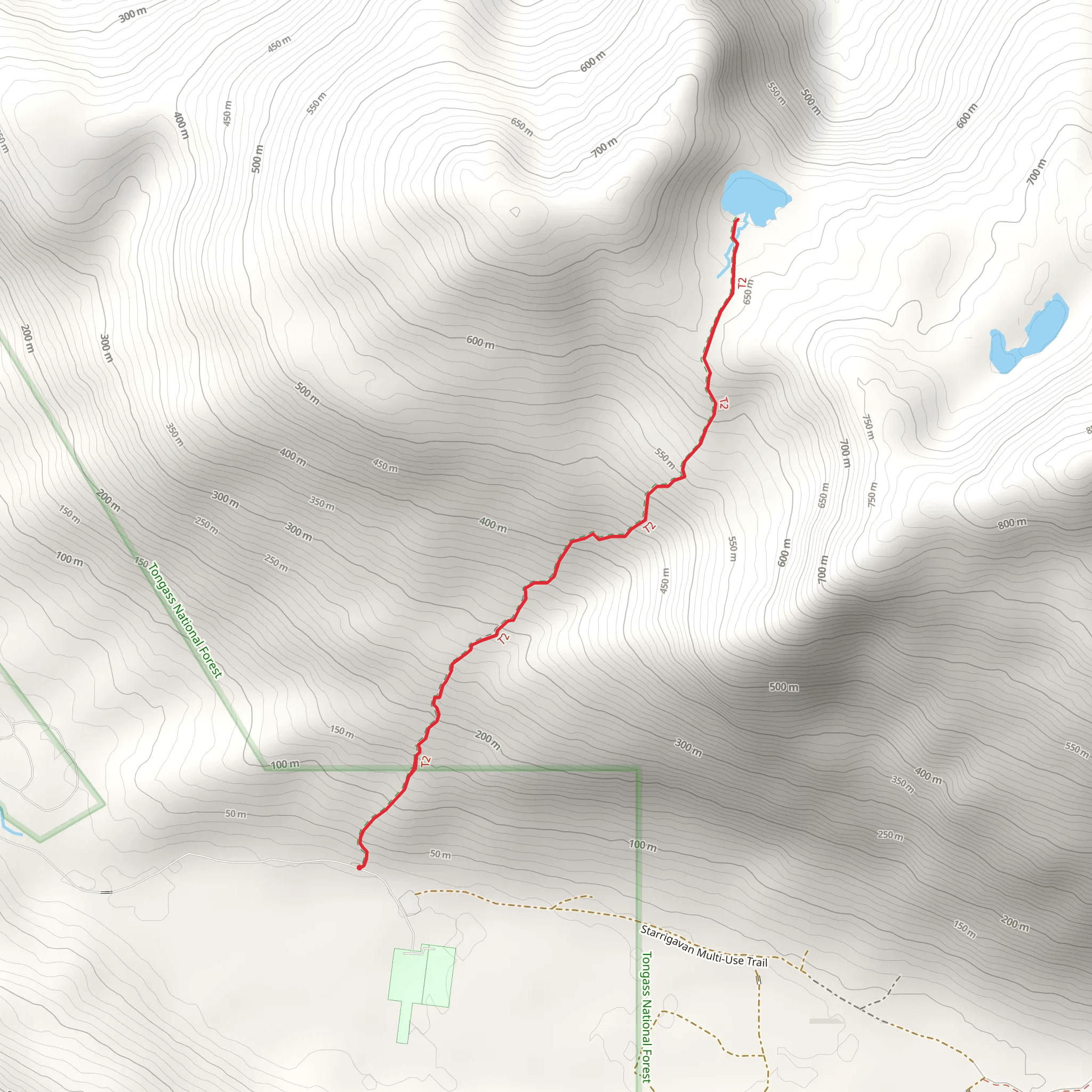 Nelson Logging Road Walk mobile static map
