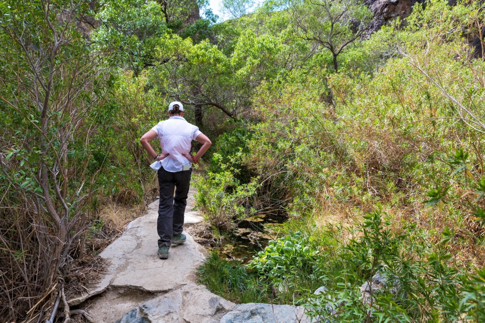 An image depicting the trail Darwin Falls Trail and its surrounding area.