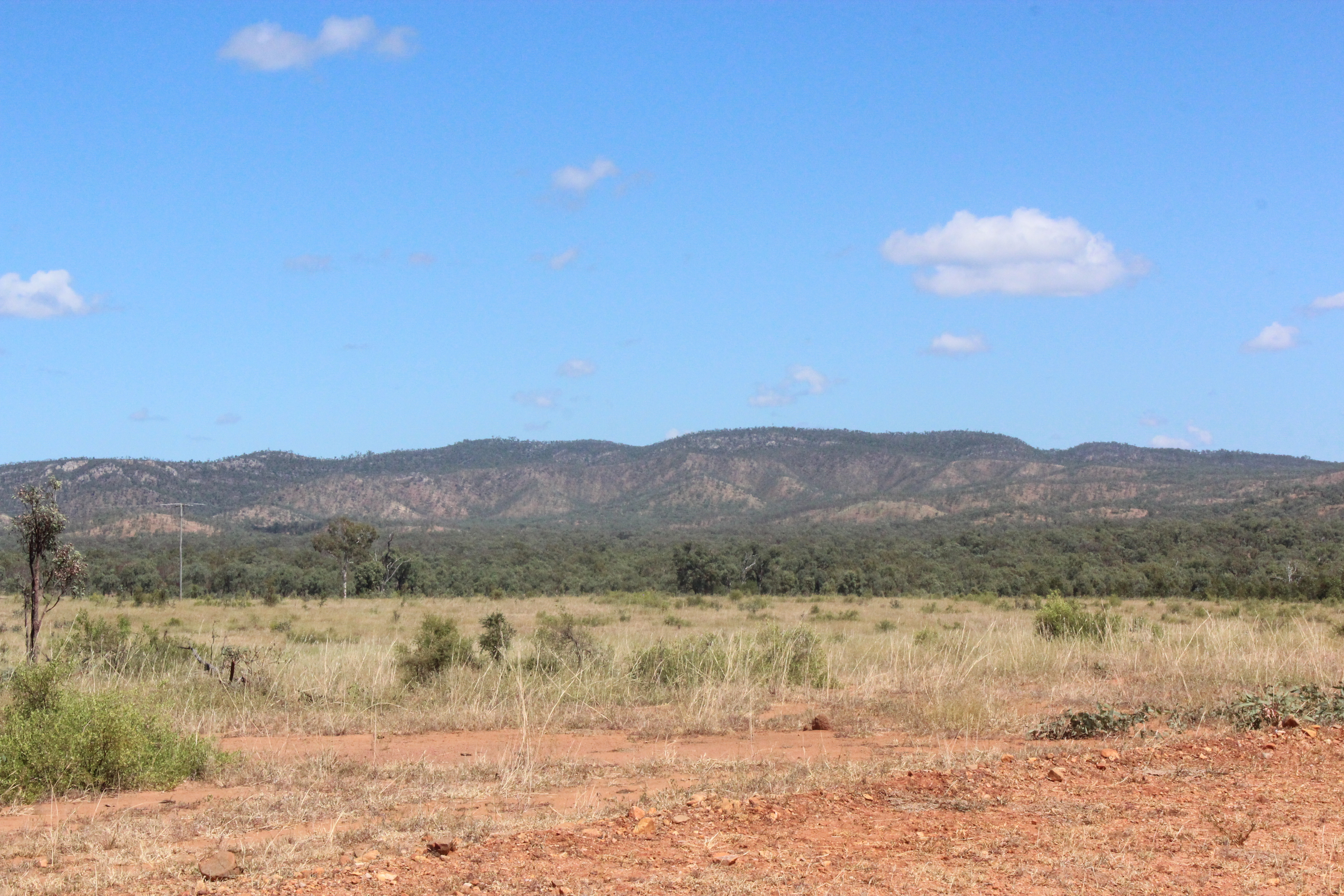 An image depicting the trail White Mountains National Park and its surrounding area.