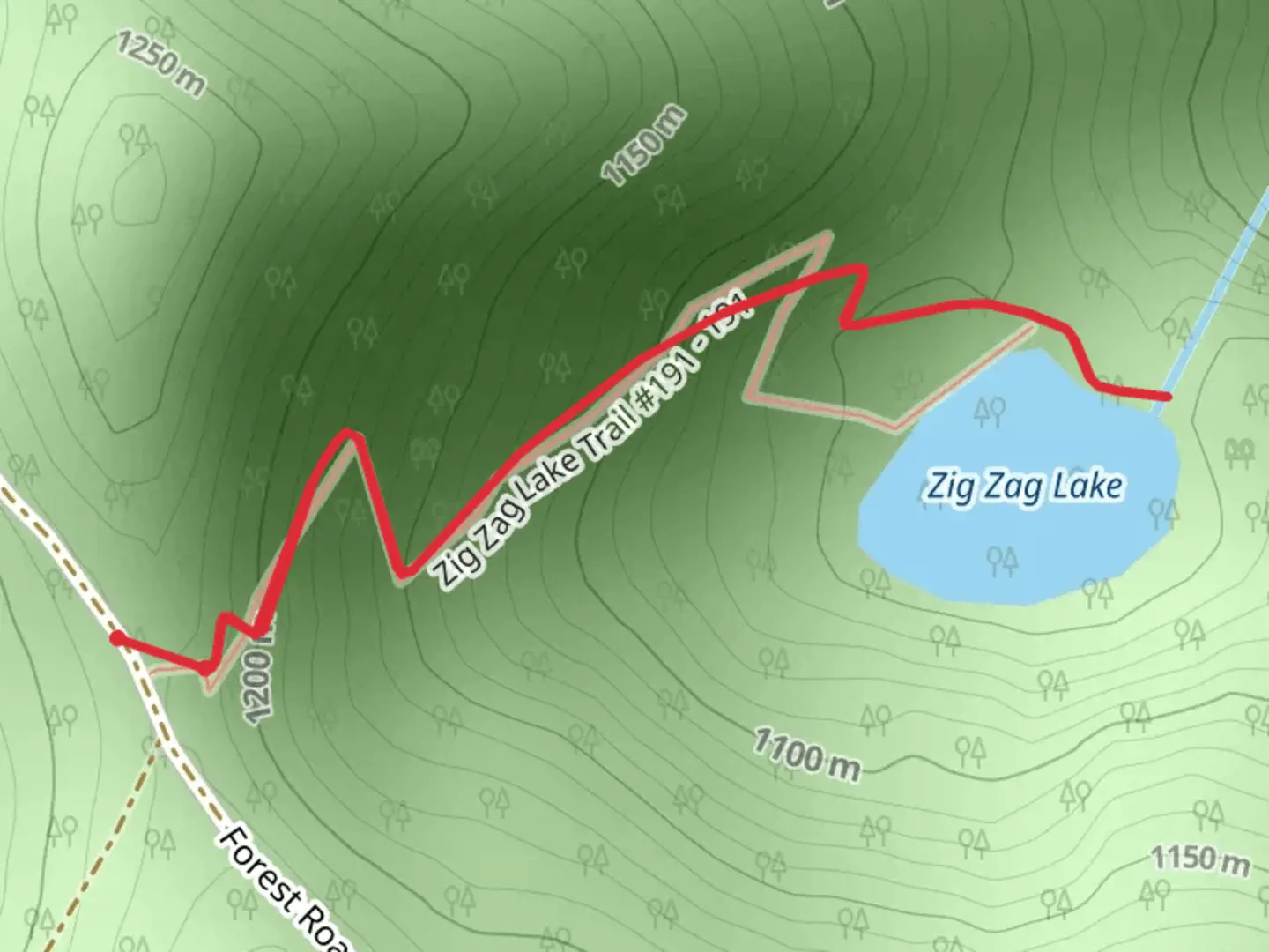 An image depicting the trail Zig Zag Lake Trail and its surrounding area.