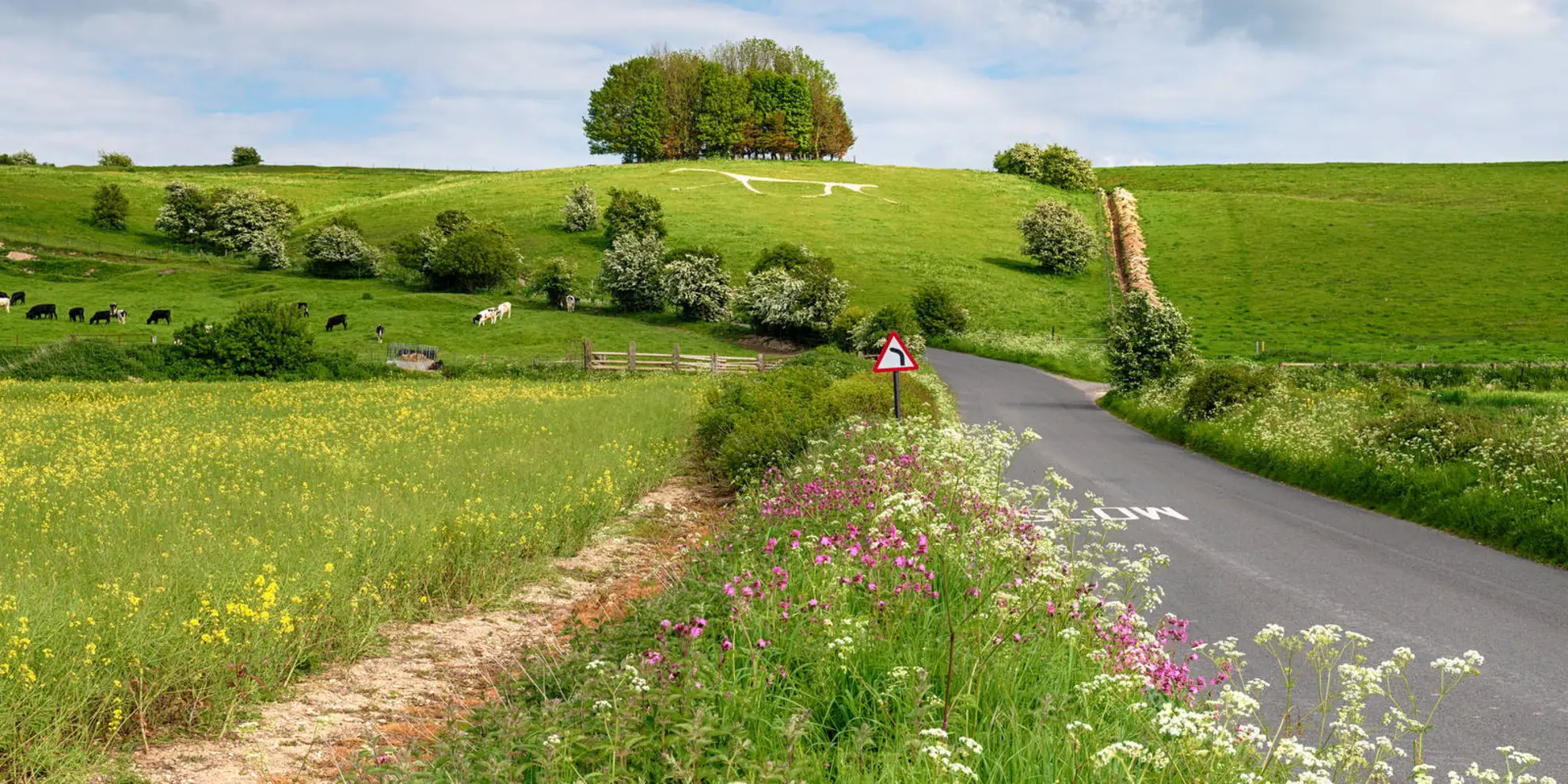 An image depicting the trail Bishopstone Loop and its surrounding area.
