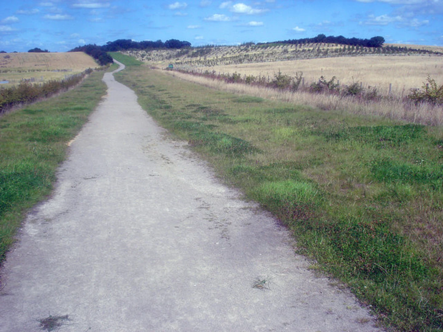 An image depicting the trail Donisthorpe Woodland Park Loop and its surrounding area.