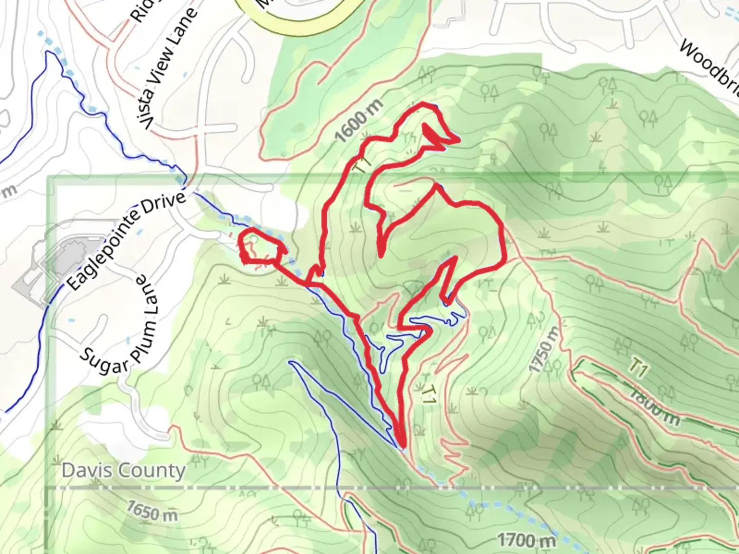 An image depicting the trail Wild Rose Loop Trail and its surrounding area.