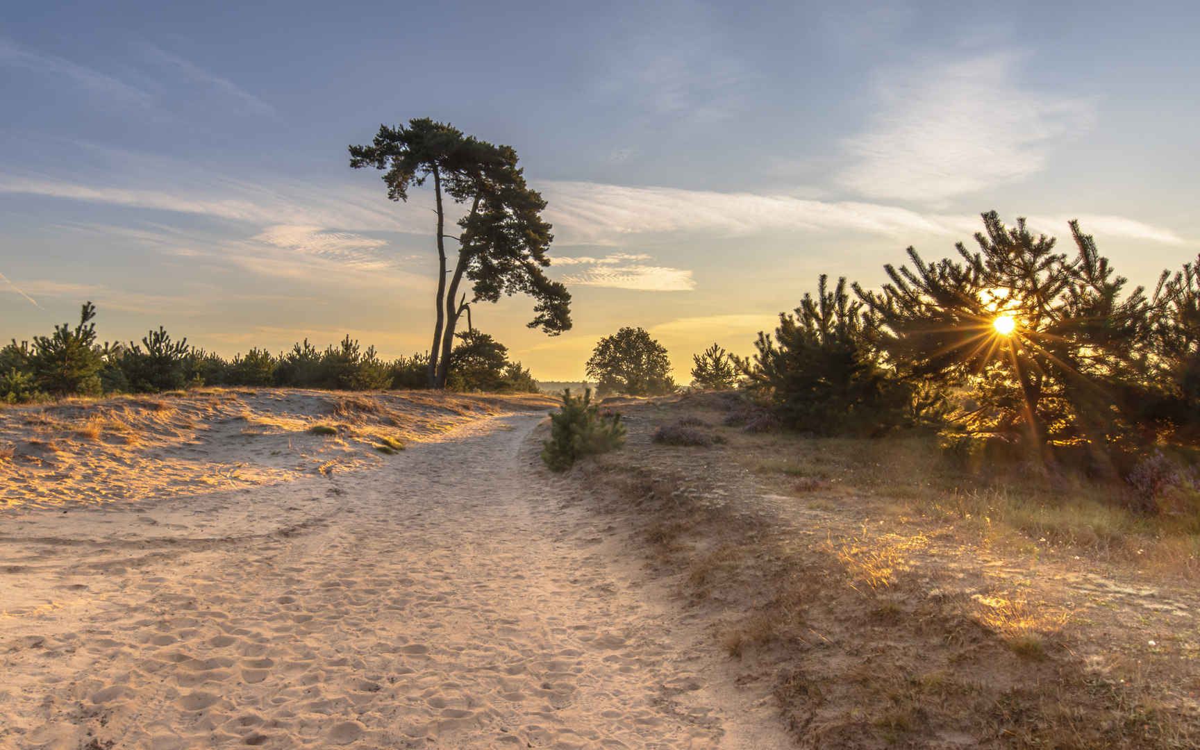 An image depicting the trail Aekingerzand and Greenspoele Loop and its surrounding area.