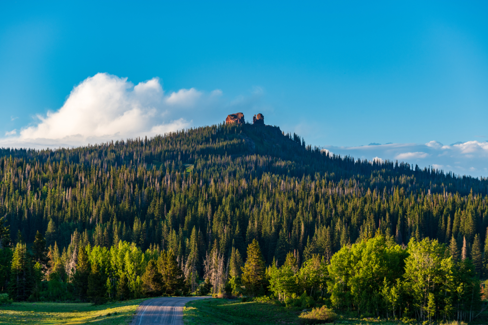 An image depicting the trail Rabbit Ears Peak and its surrounding area.