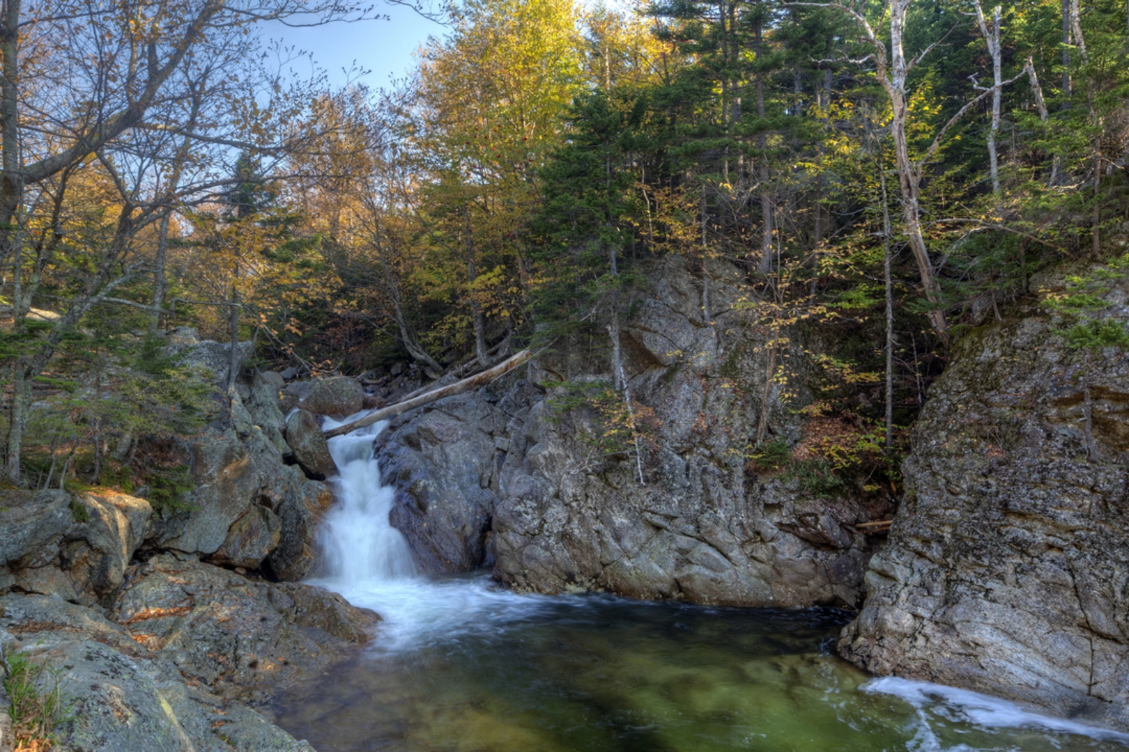 An image depicting the trail Glen Ellis Falls Trail and its surrounding area.