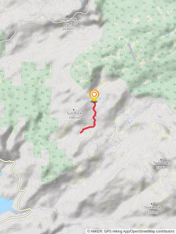 Bassi Trail Out and Back