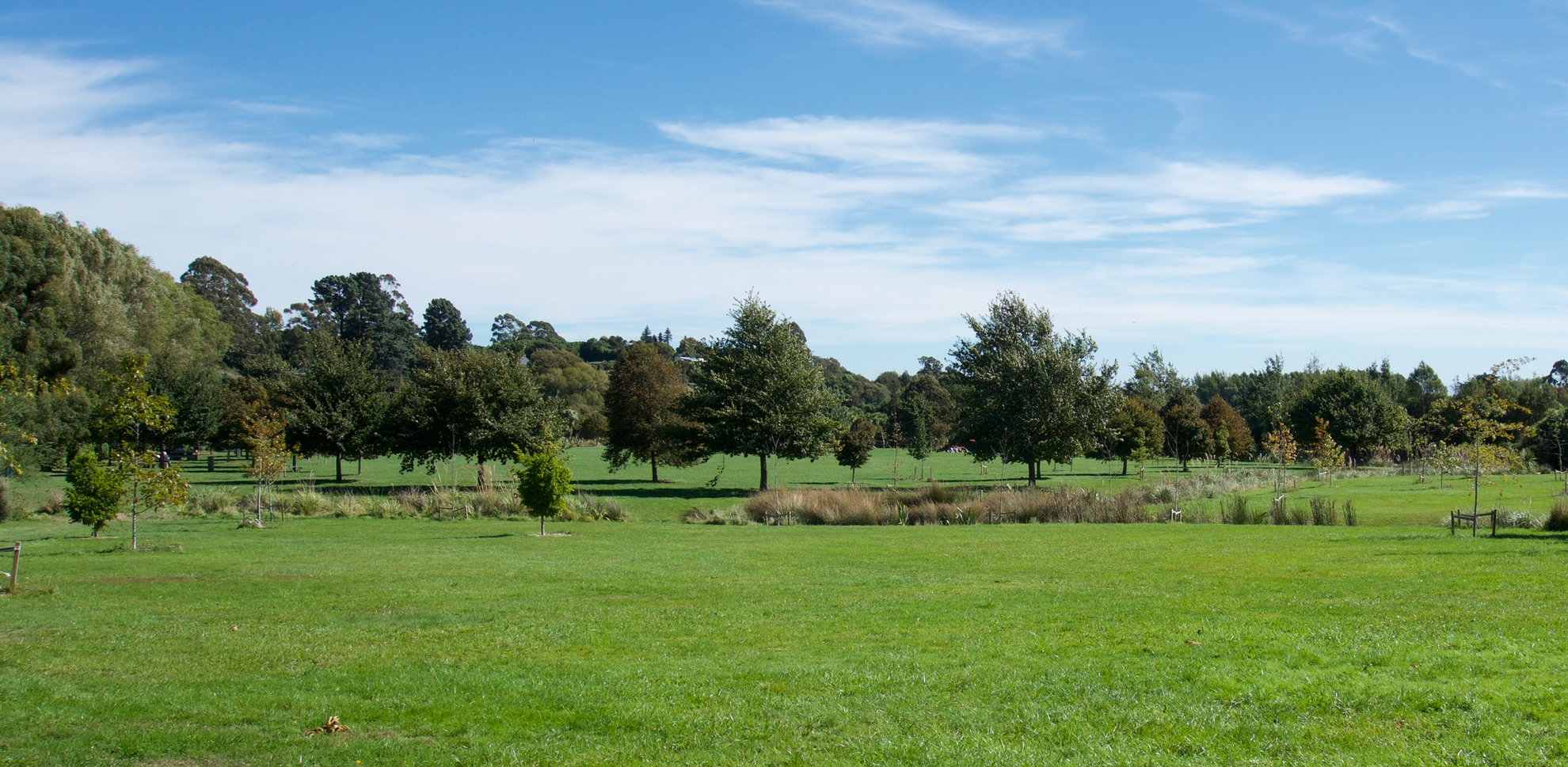 An image depicting the trail Old Halswell Quarry Loop and its surrounding area.