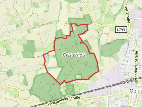 Geisterholz Loop
