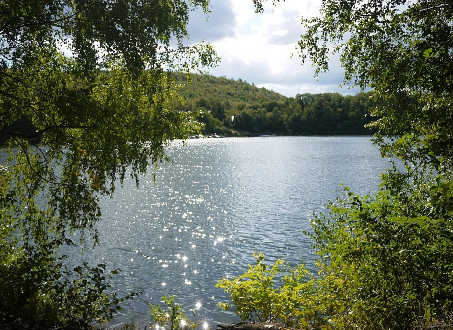 An image depicting the trail Halde Rheinpreußen, Waldsee, Bareler Busch and Lohheidersee Loop and its surrounding area.
