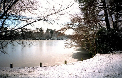 An image depicting the trail Highwood Local Nature Reserve and South Lake Park Loop and its surrounding area.