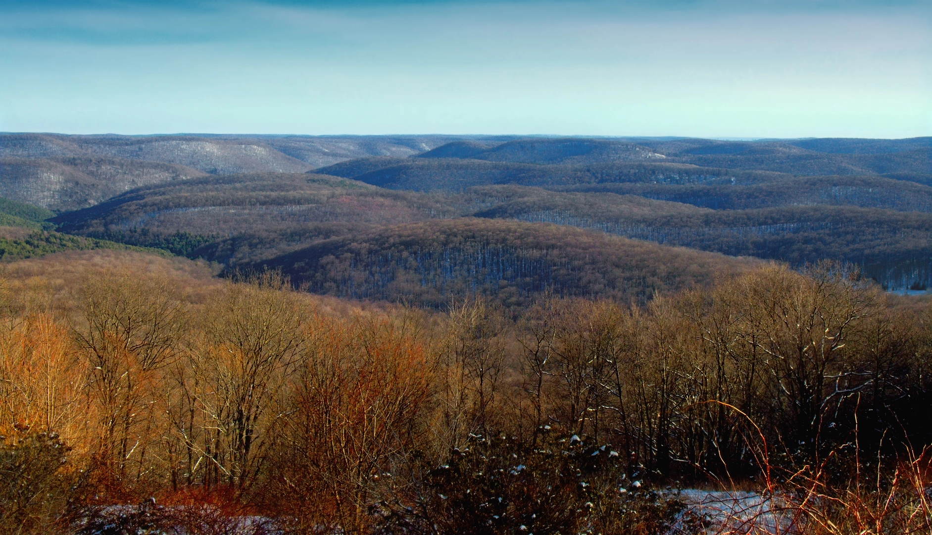 An image depicting the trail Cherry Springs Interpretive Trail and its surrounding area.