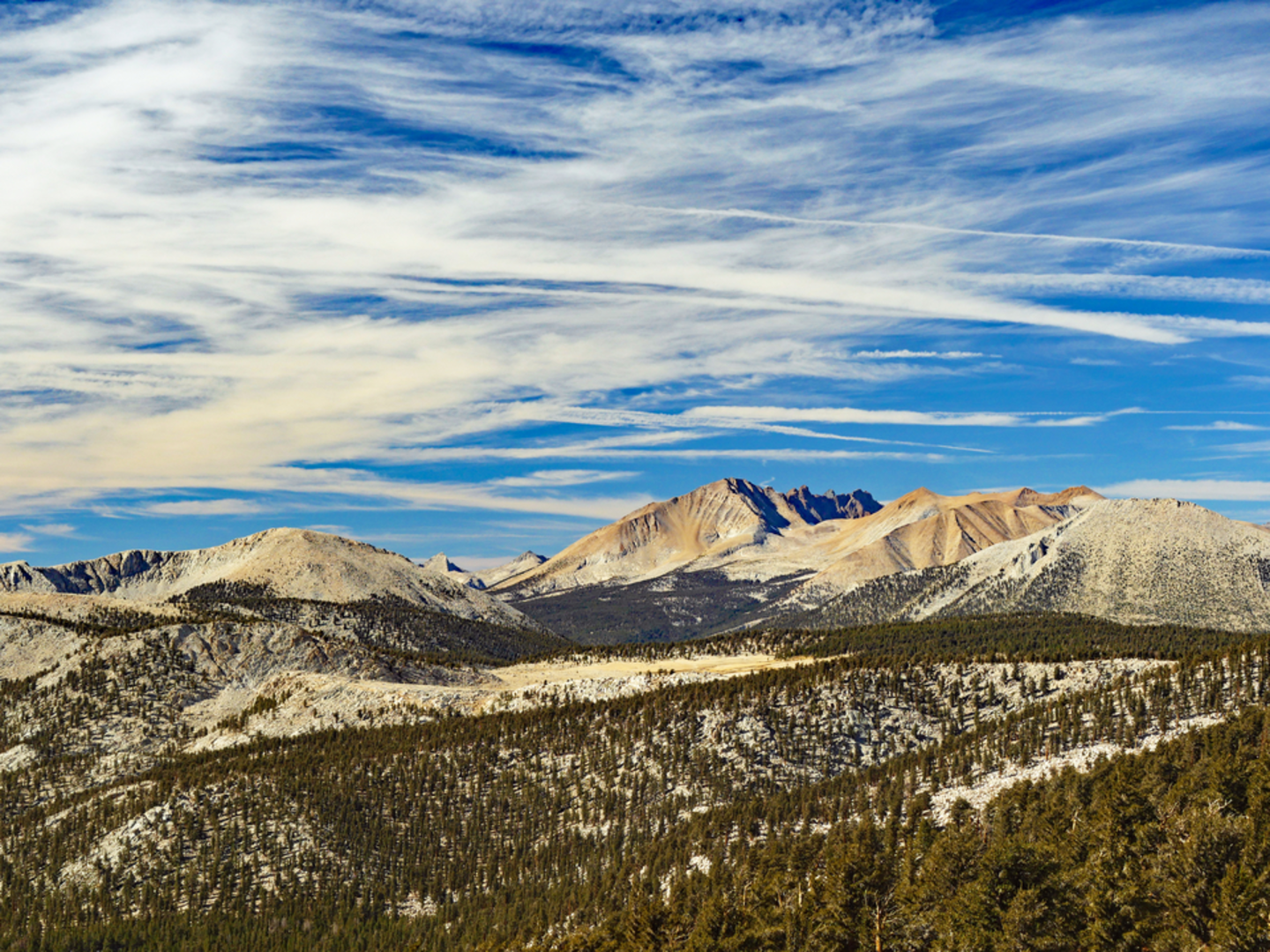 An image depicting the trail Siberian Pass via Trail Pass Trail and its surrounding area.