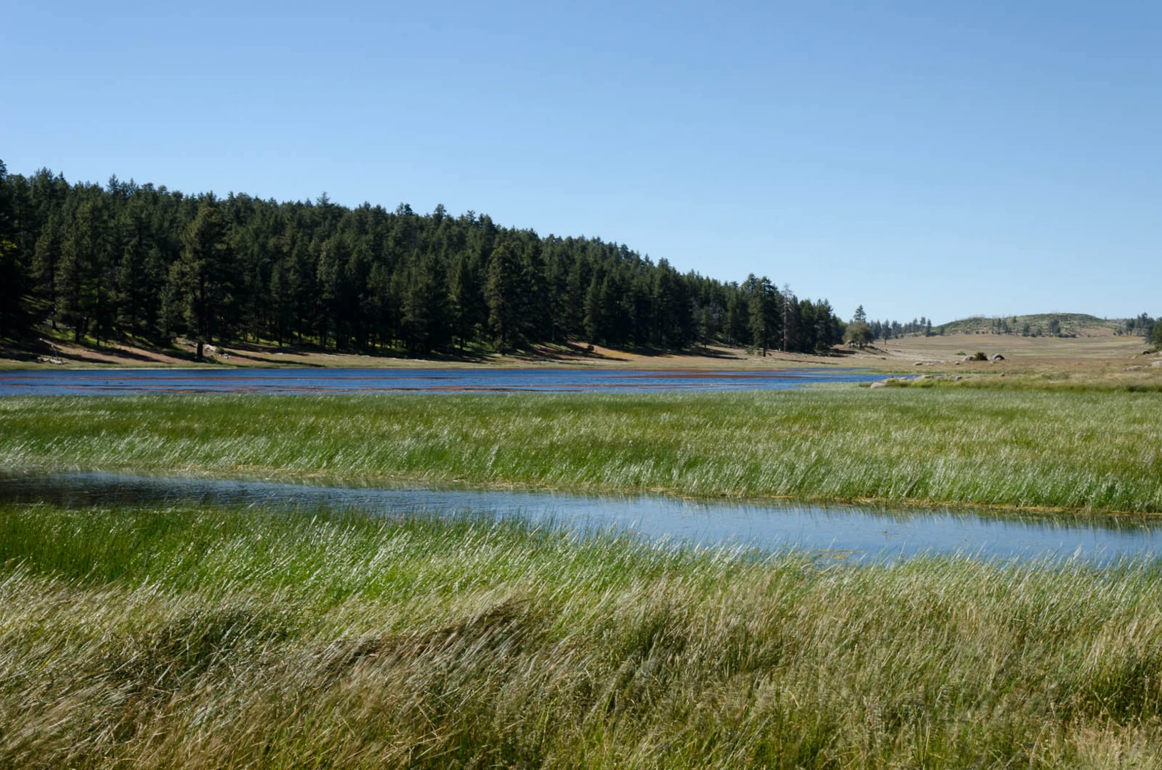 An image depicting the trail Big andLittle Laguna Lakes and its surrounding area.