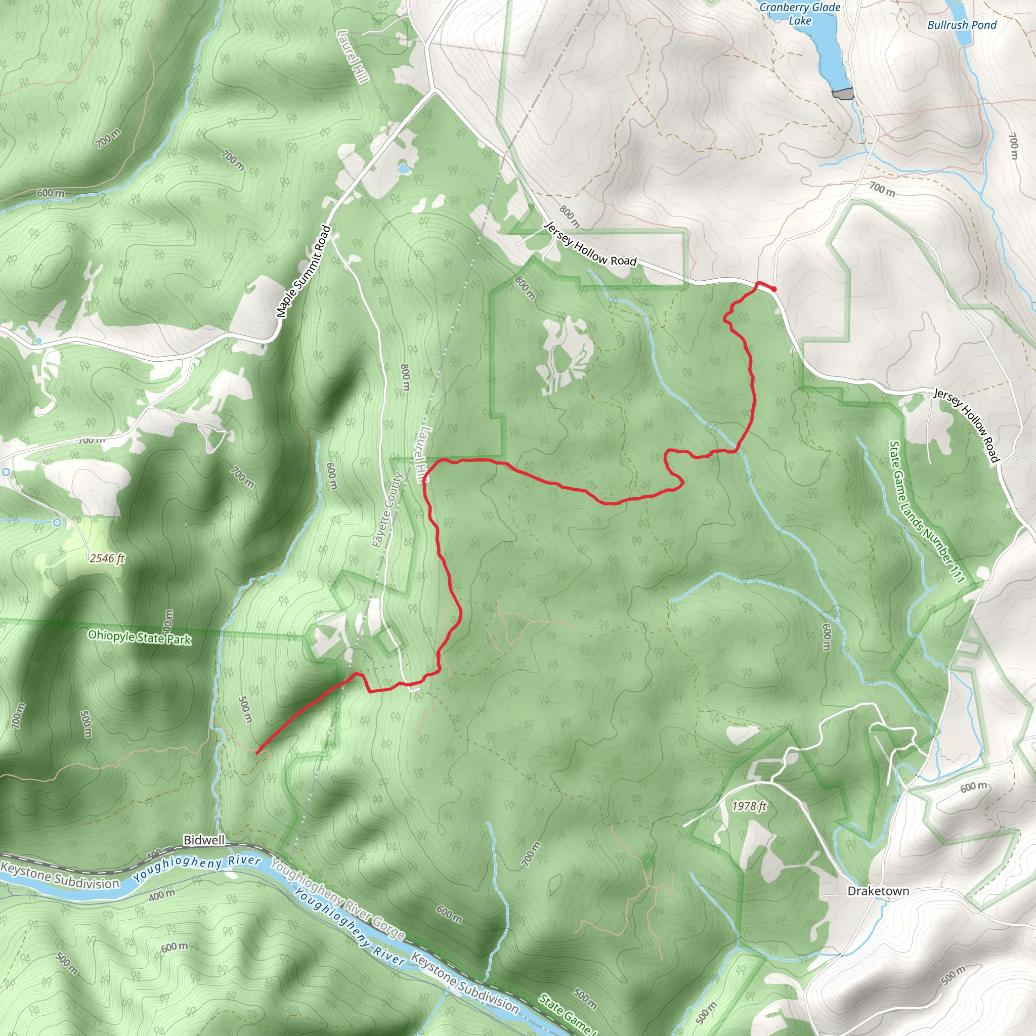 Laurel Highlands Hiking Trail from Gameland Road mobile static map