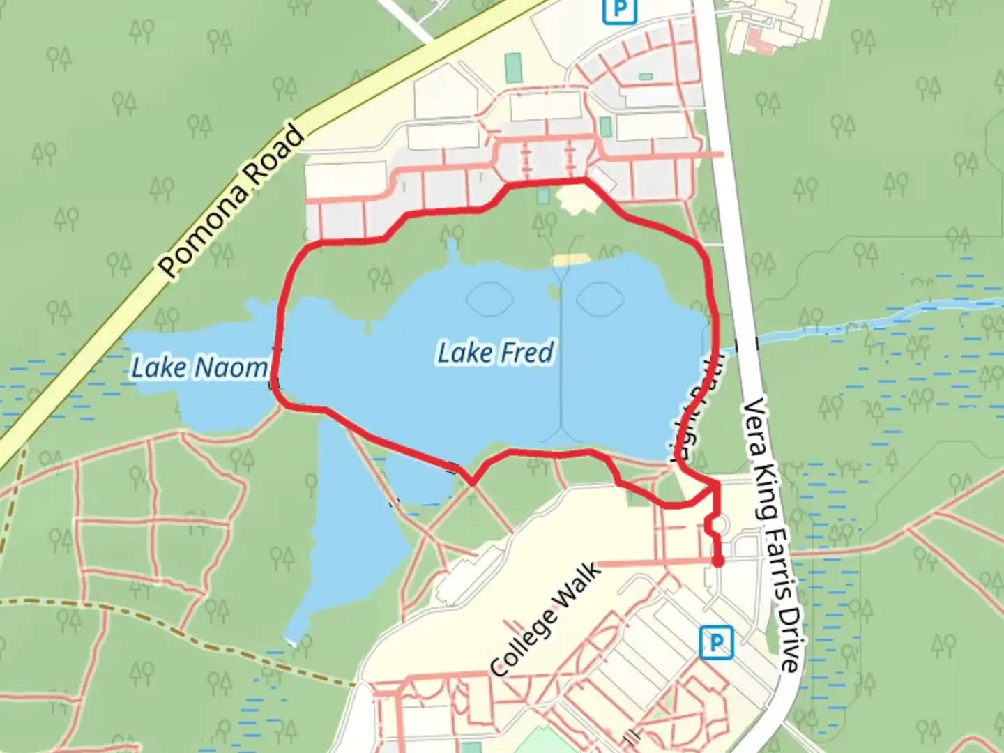 An image depicting the trail Lake Fred Loop and its surrounding area.