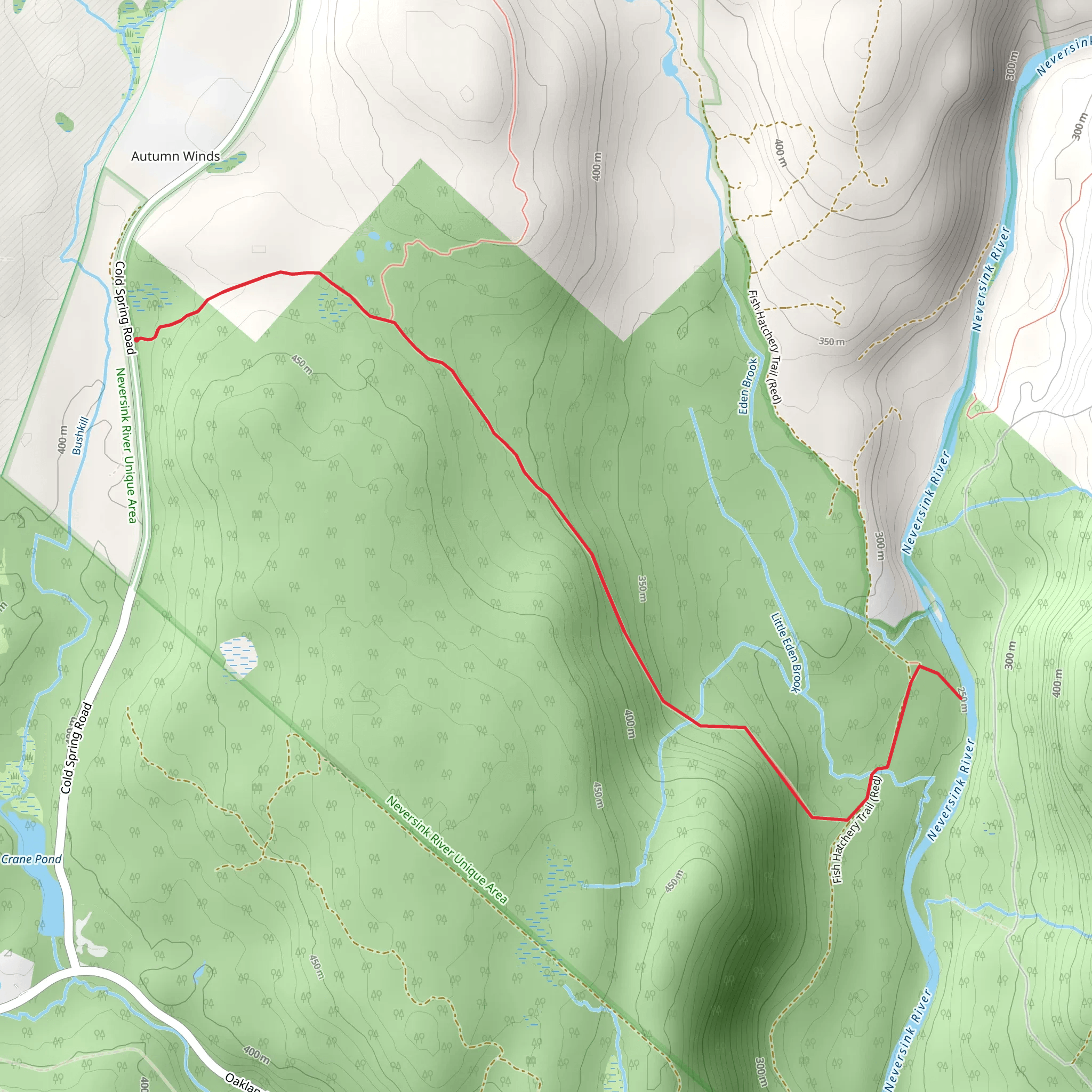 Neversink River from Cold Spring Road mobile static map