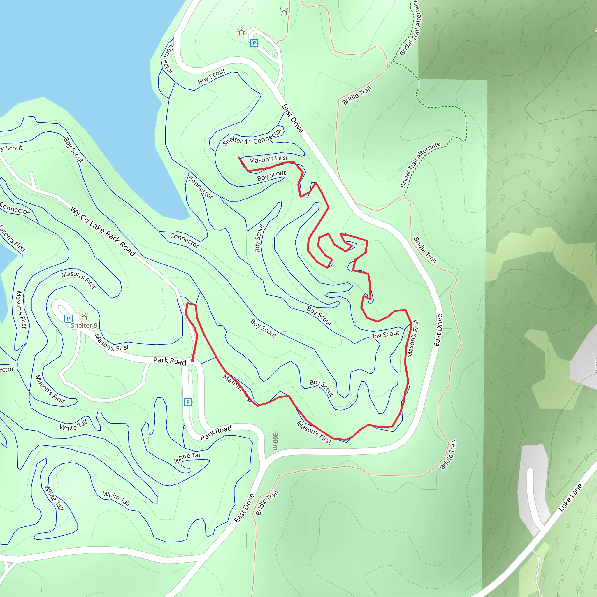 Mason's First mobile static map