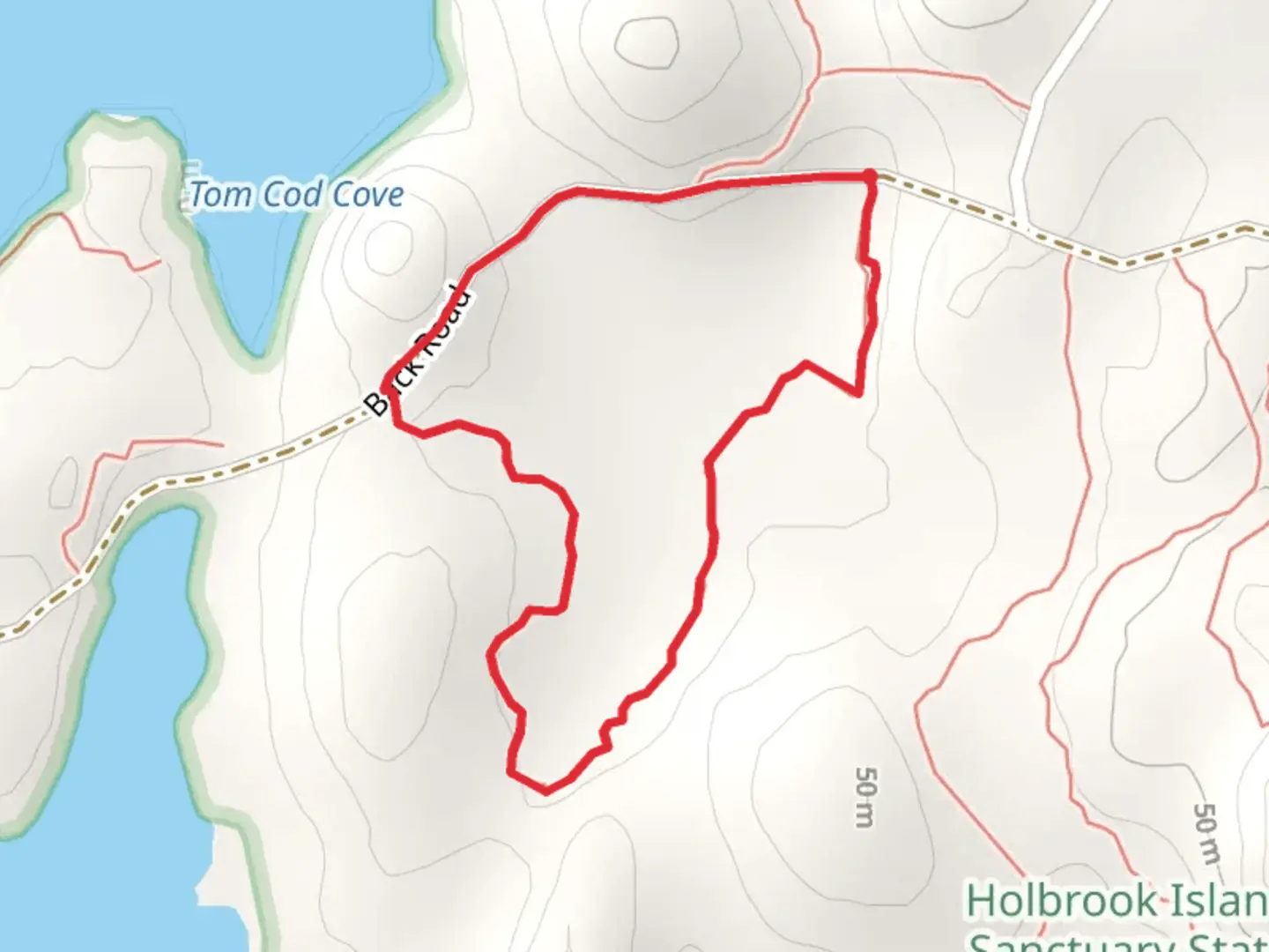 An image depicting the trail Beaver Flowage Loop Trail and its surrounding area.