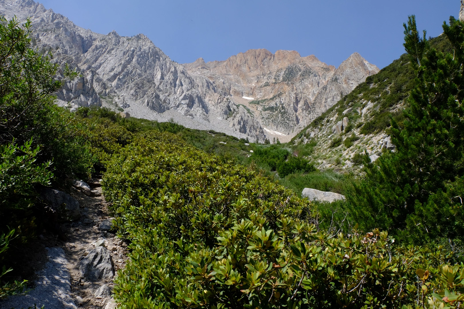 An image depicting the trail Taboose Pass Trail and its surrounding area.