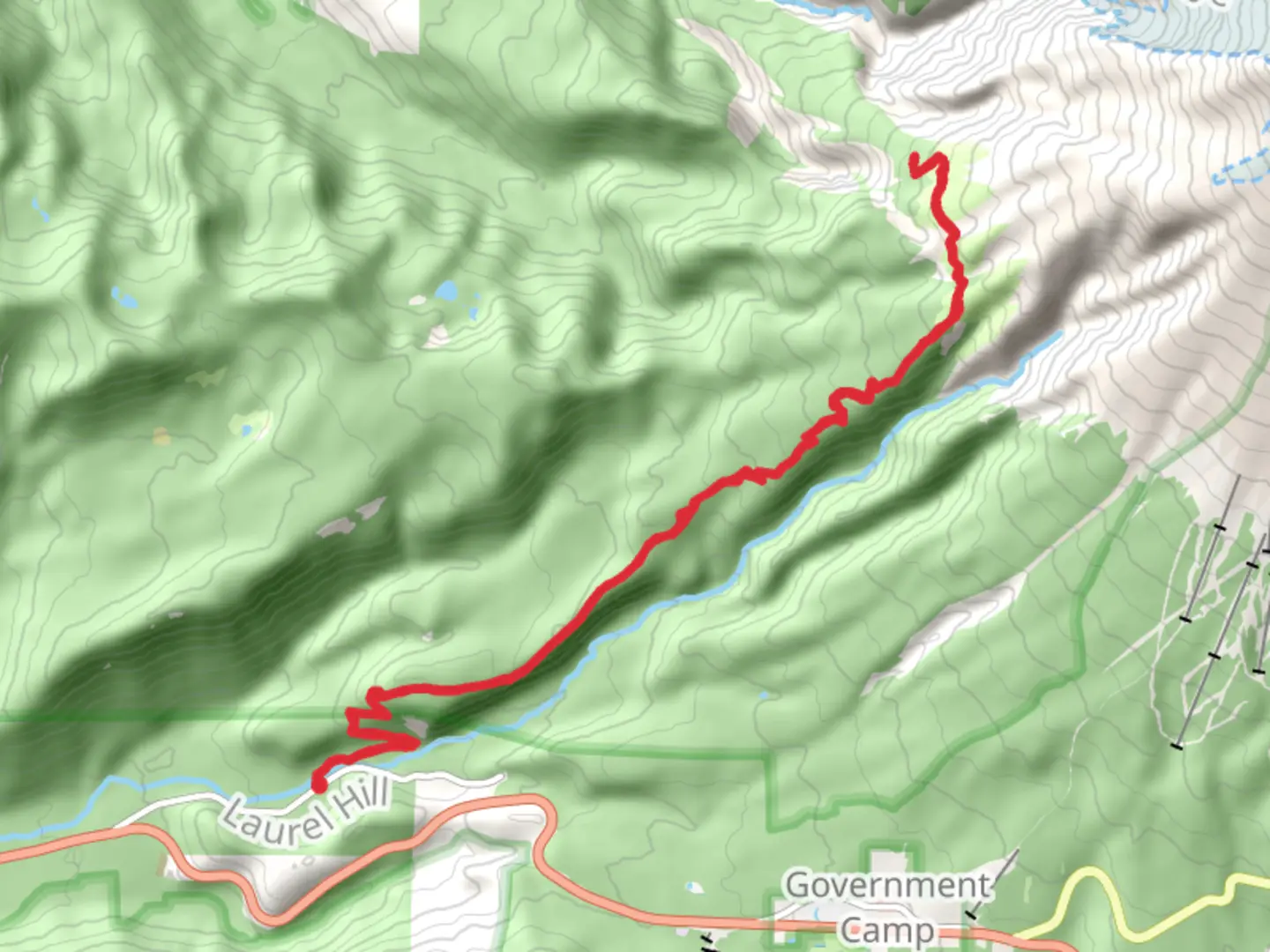 An image depicting the trail Paradise Park Trail 778 and its surrounding area.