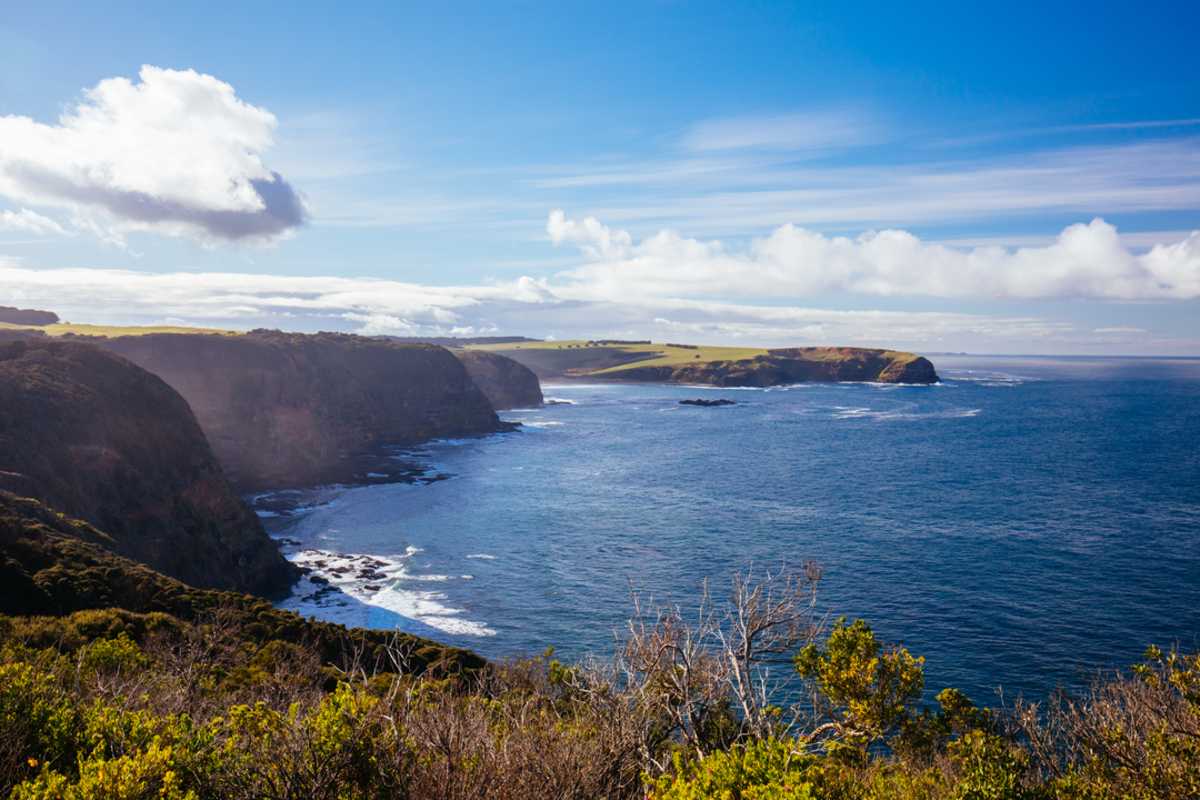 Bushrangers Bay and Gunnamatta Trail