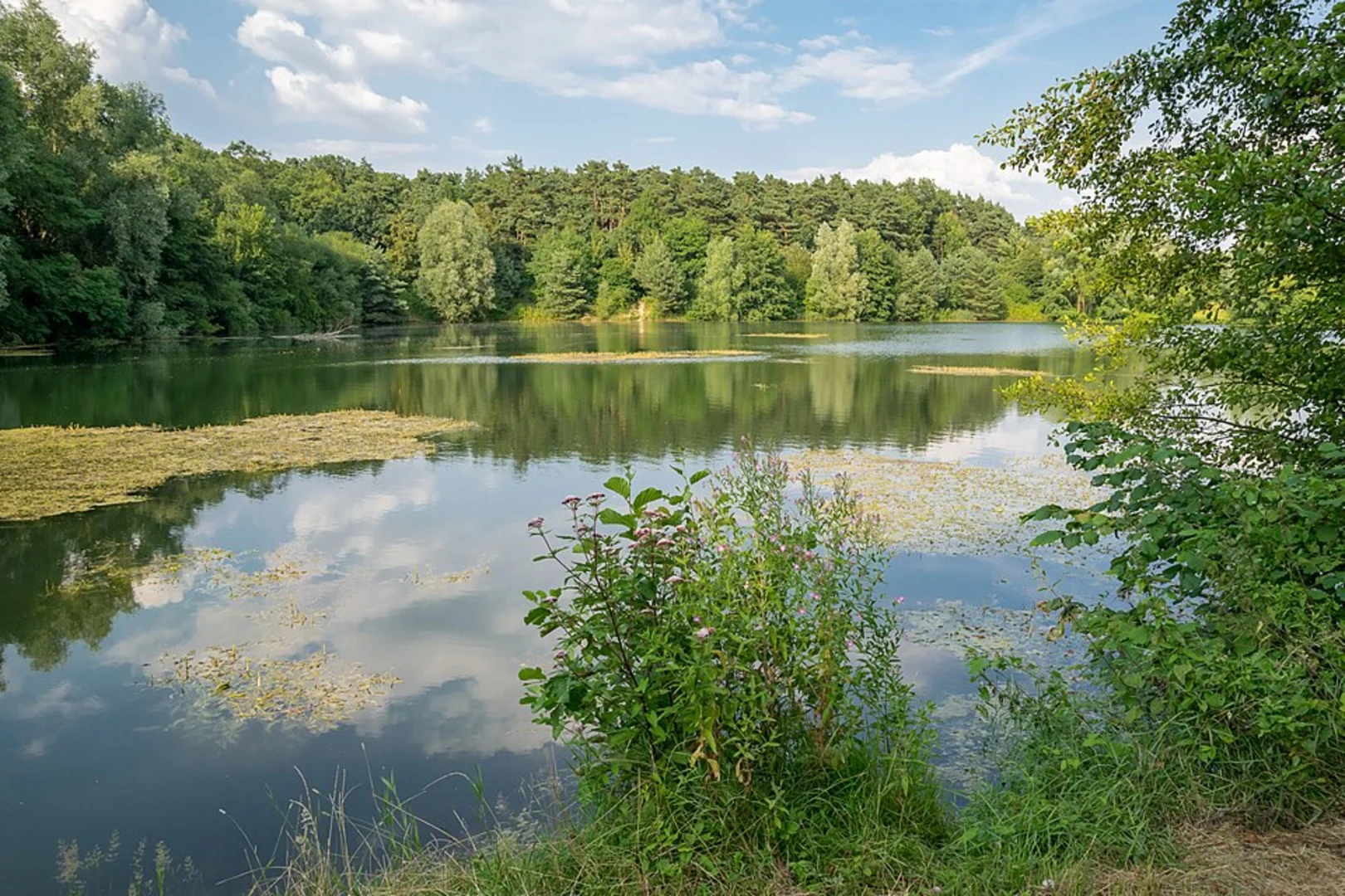 An image depicting the trail Tallesee Obersee, Tallesee Mittelsee and Tallesee Untersee Loop and its surrounding area.