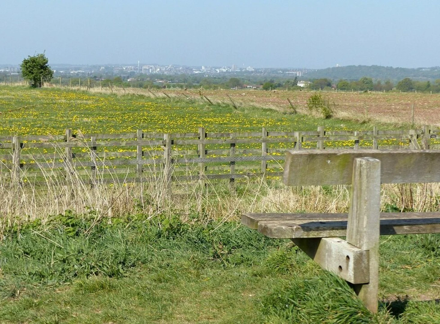 An image depicting the trail Cotgrave Country Park Loop and its surrounding area.