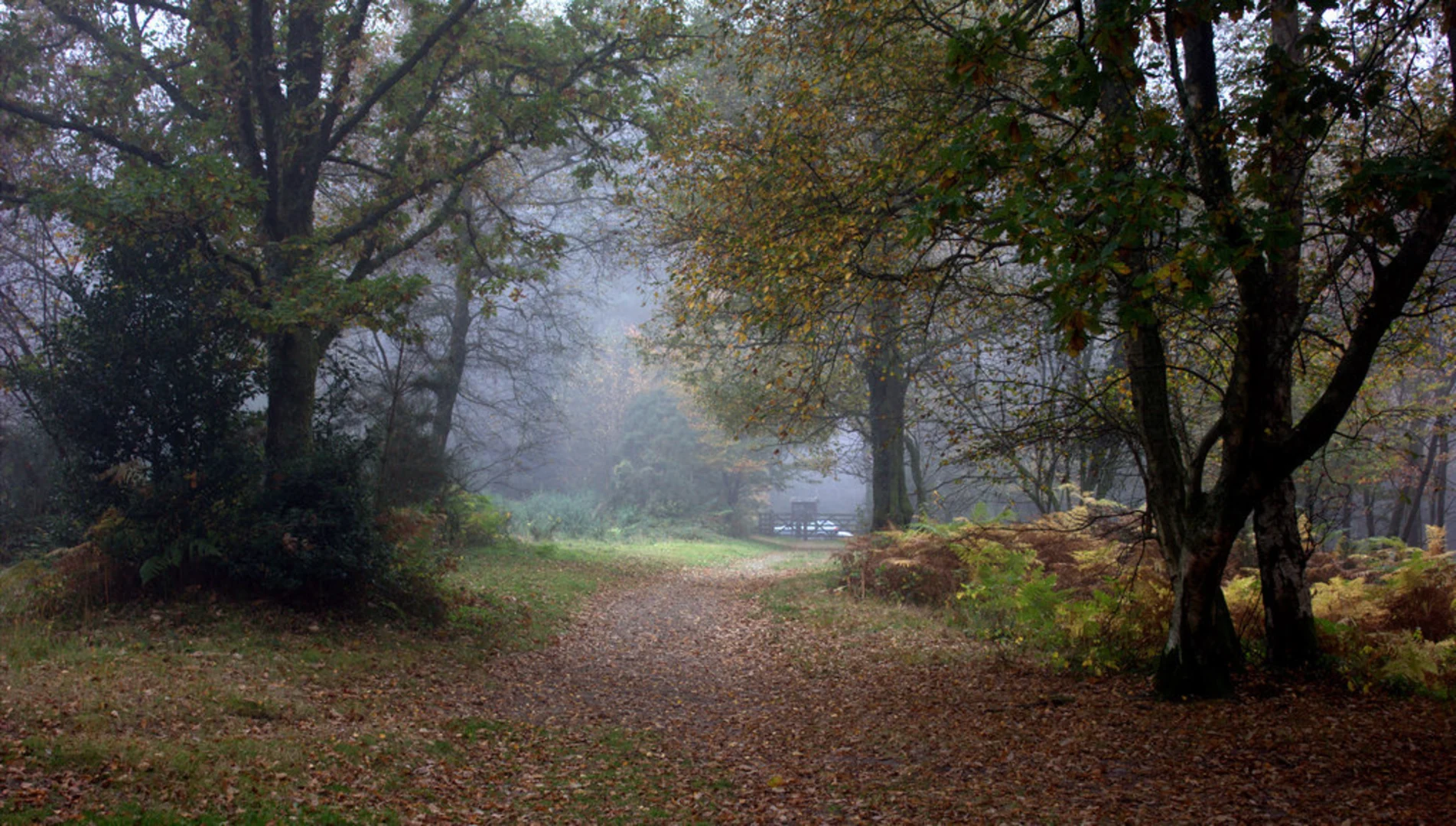 An image depicting the trail Marley Common and its surrounding area.