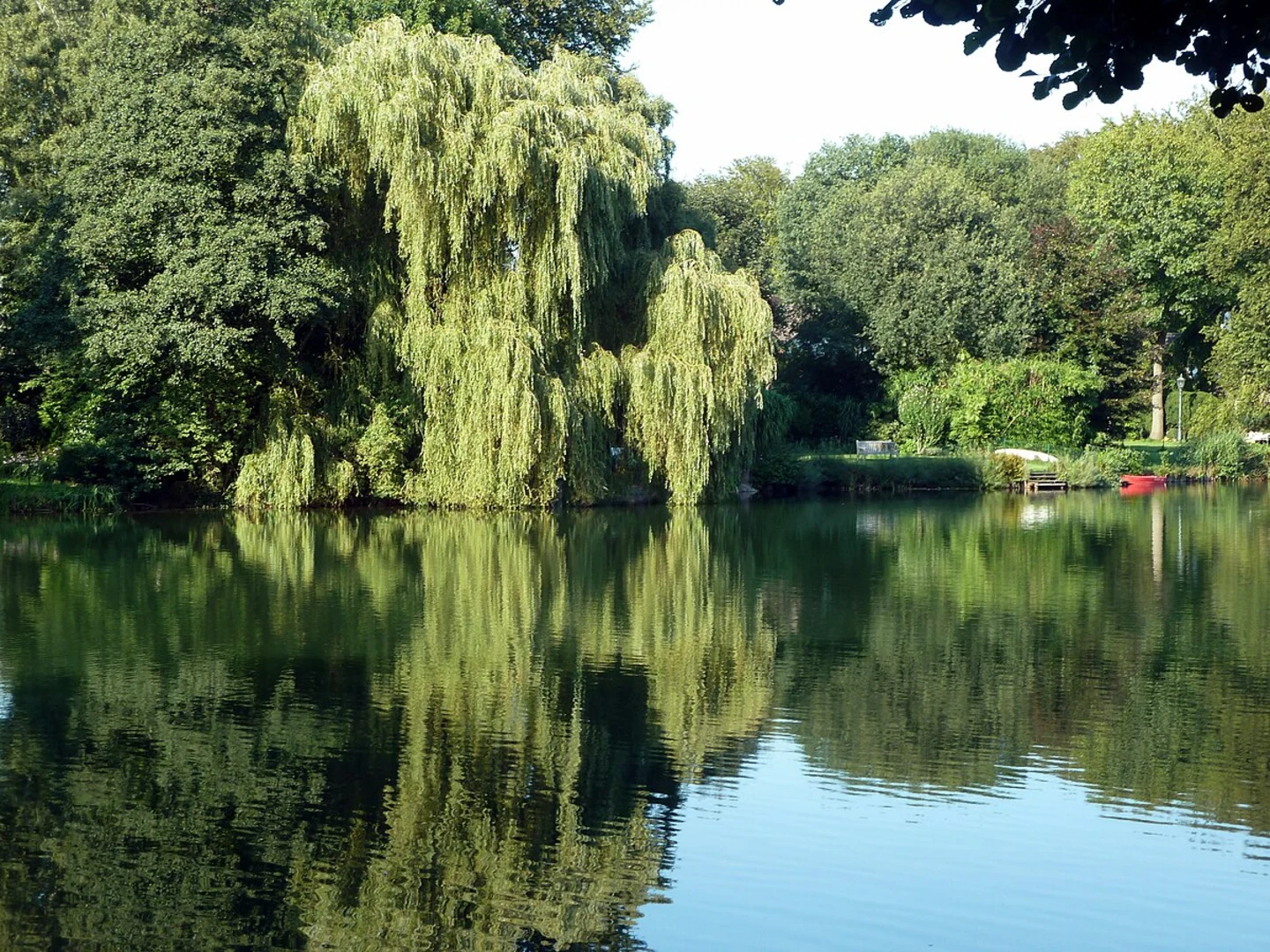 An image depicting the trail Wambachsee Loop and its surrounding area.