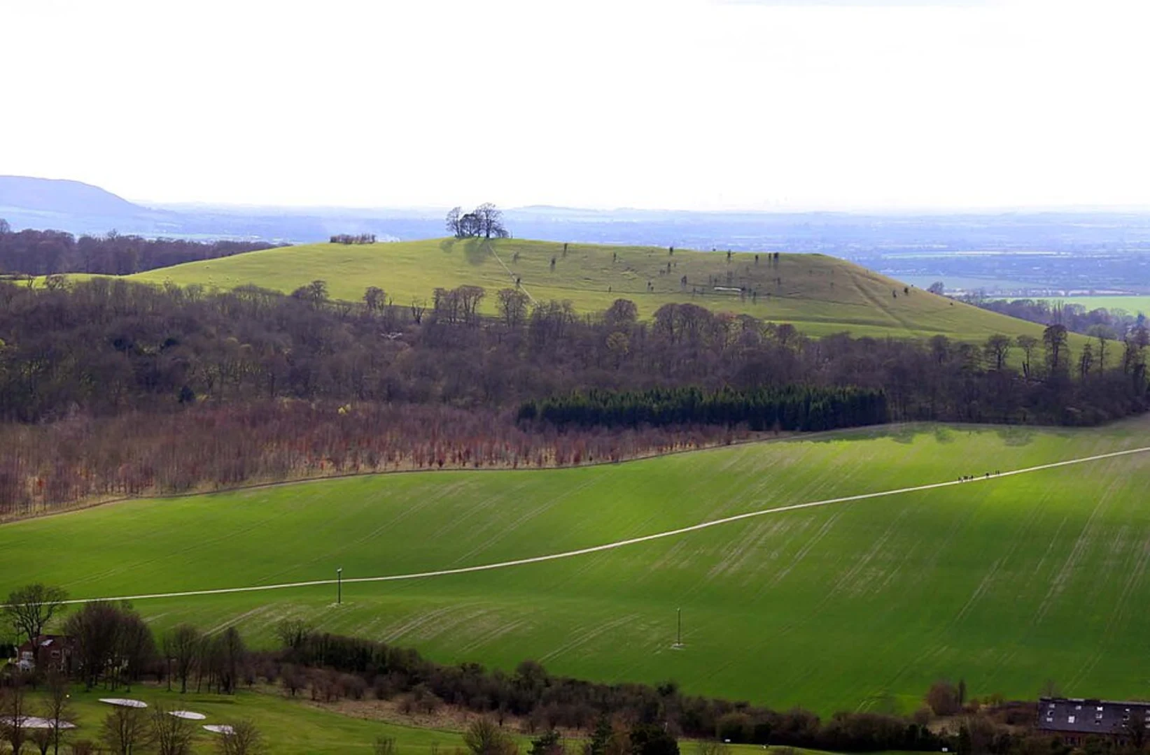 An image depicting the trail Combe Hill and Linton Wood and its surrounding area.