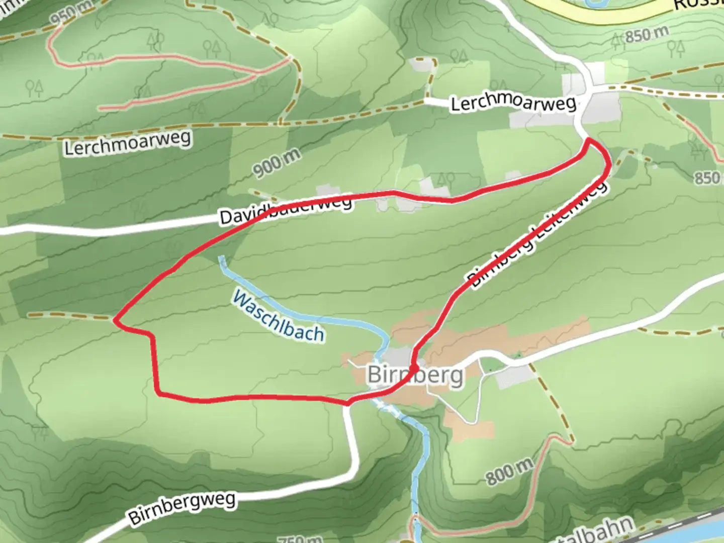 An image depicting the trail Birnberg Loop and its surrounding area.