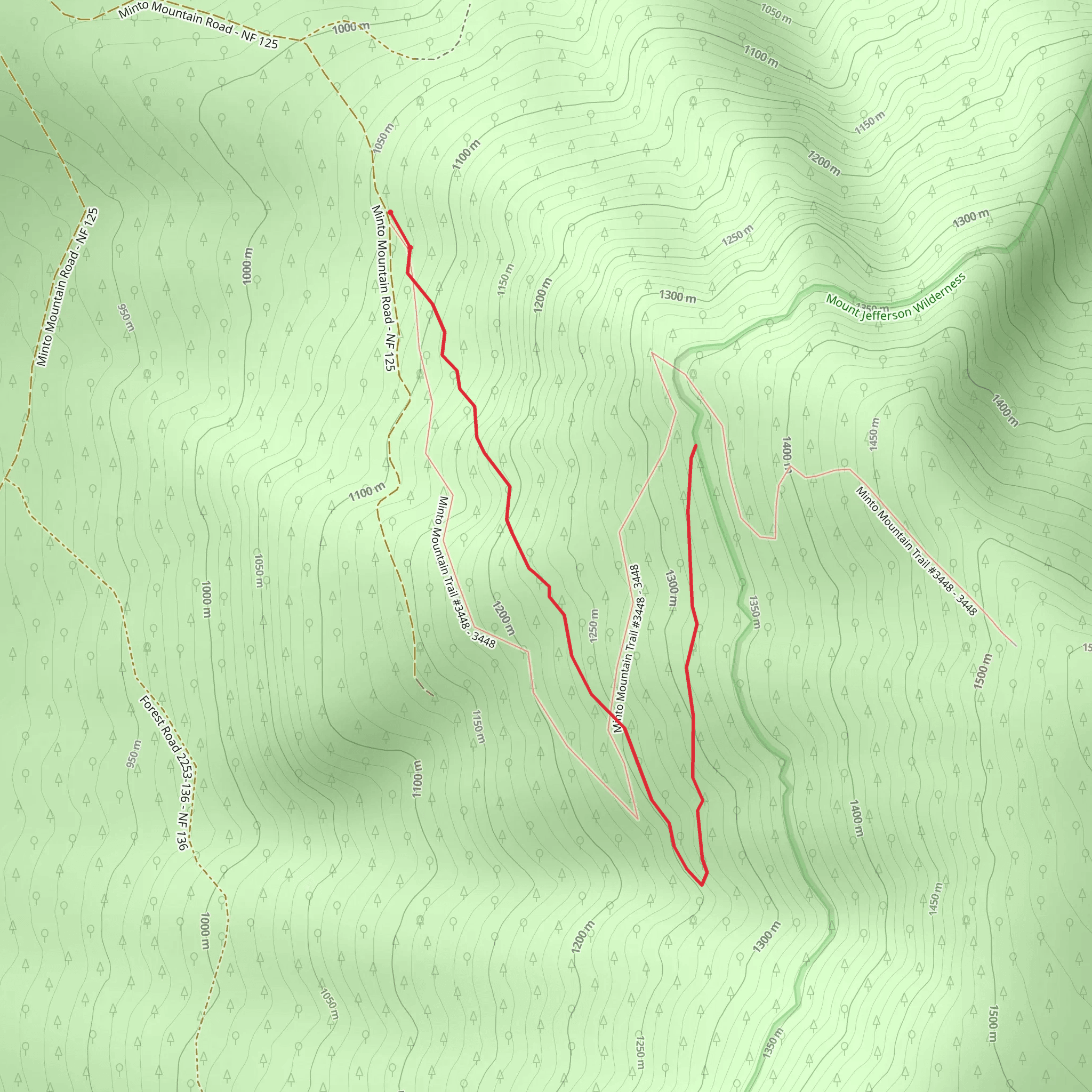 Minto Mountain Trail mobile static map