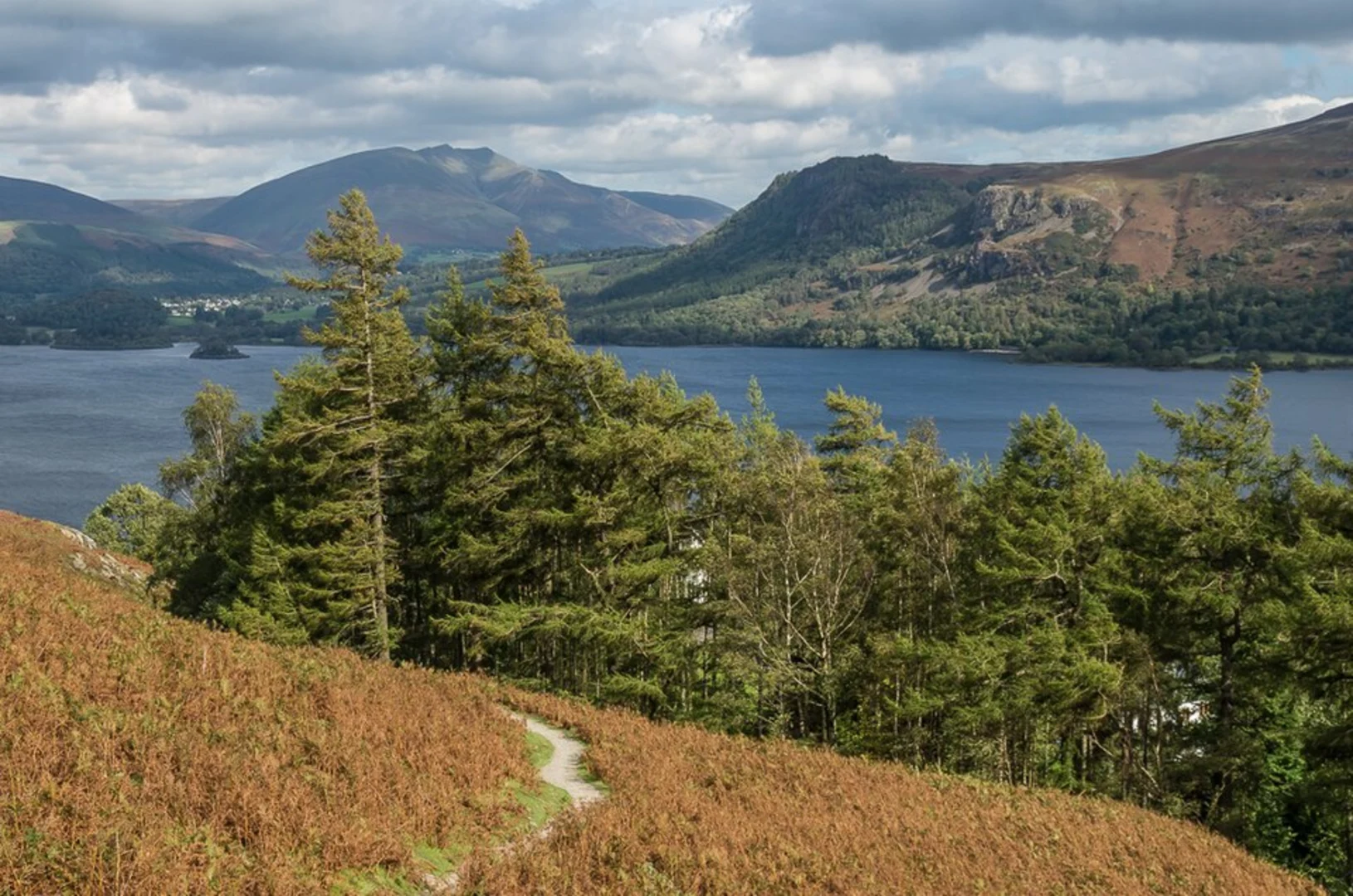 An image depicting the trail Catbells, Castle Crag Hill Fort, High Hows Wood and Manesty Park Loop and its surrounding area.