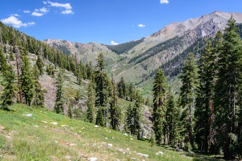 An image depicting the trail Timber Gap and Cliff Creek via Sawtooth Pass Trail and its surrounding area.