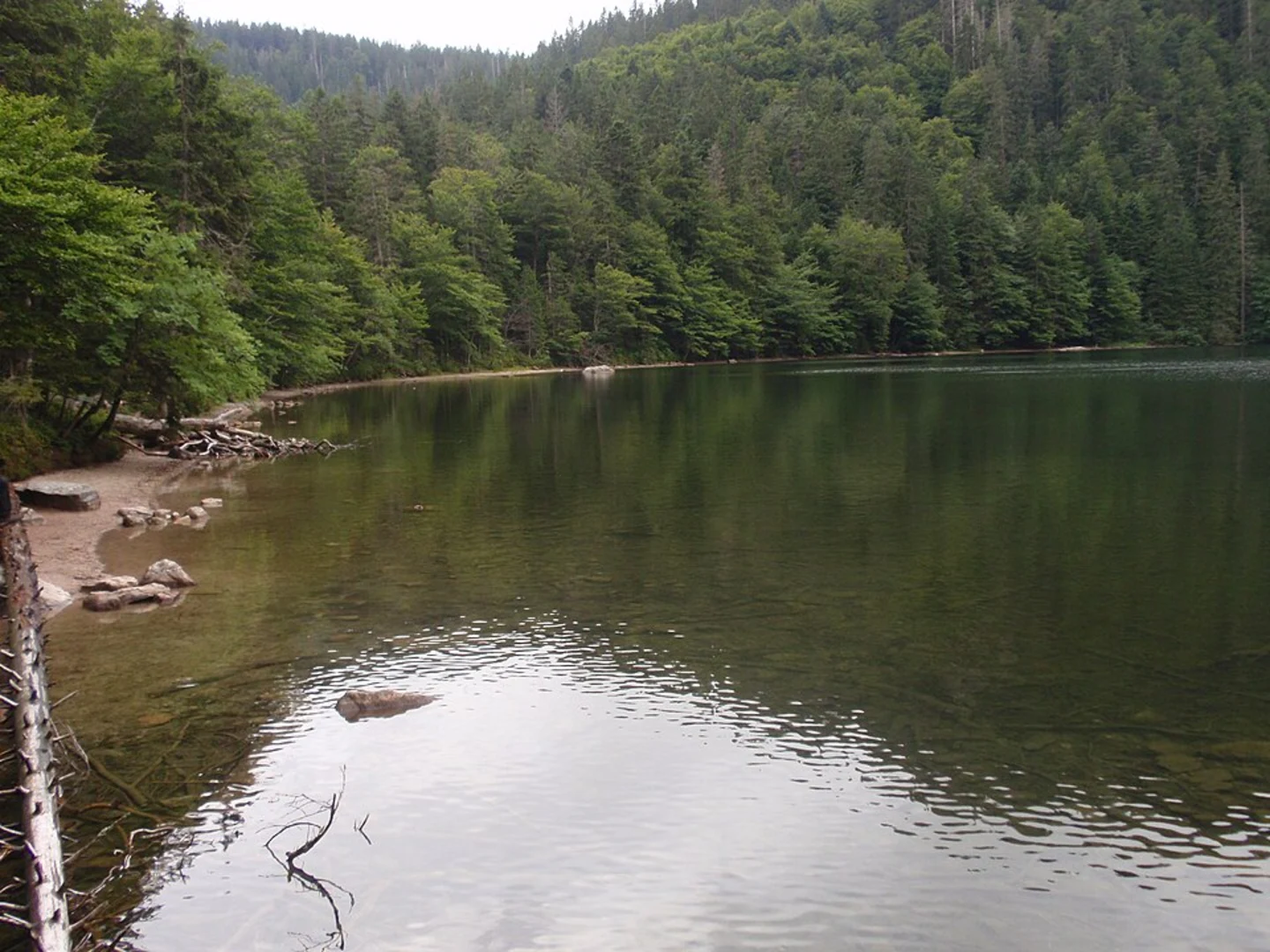 An image depicting the trail Feldberg and Feldsee Loop and its surrounding area.