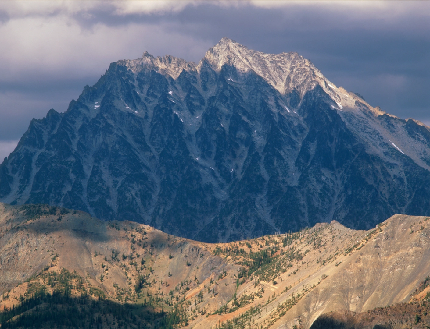 An image depicting the trail Johnson Medra Trail and its surrounding area.