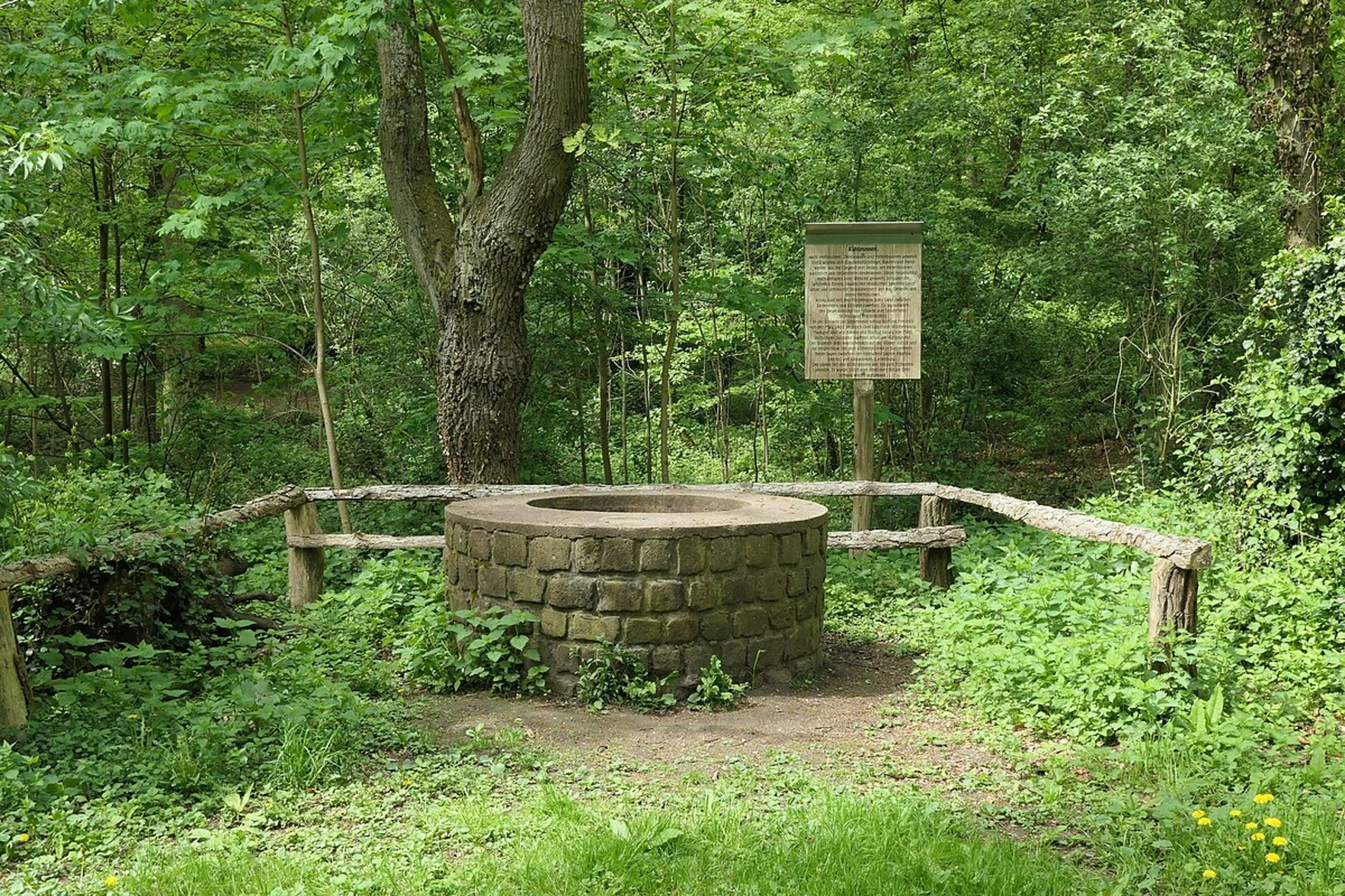 An image depicting the trail Dossenwald Rundweg and its surrounding area.
