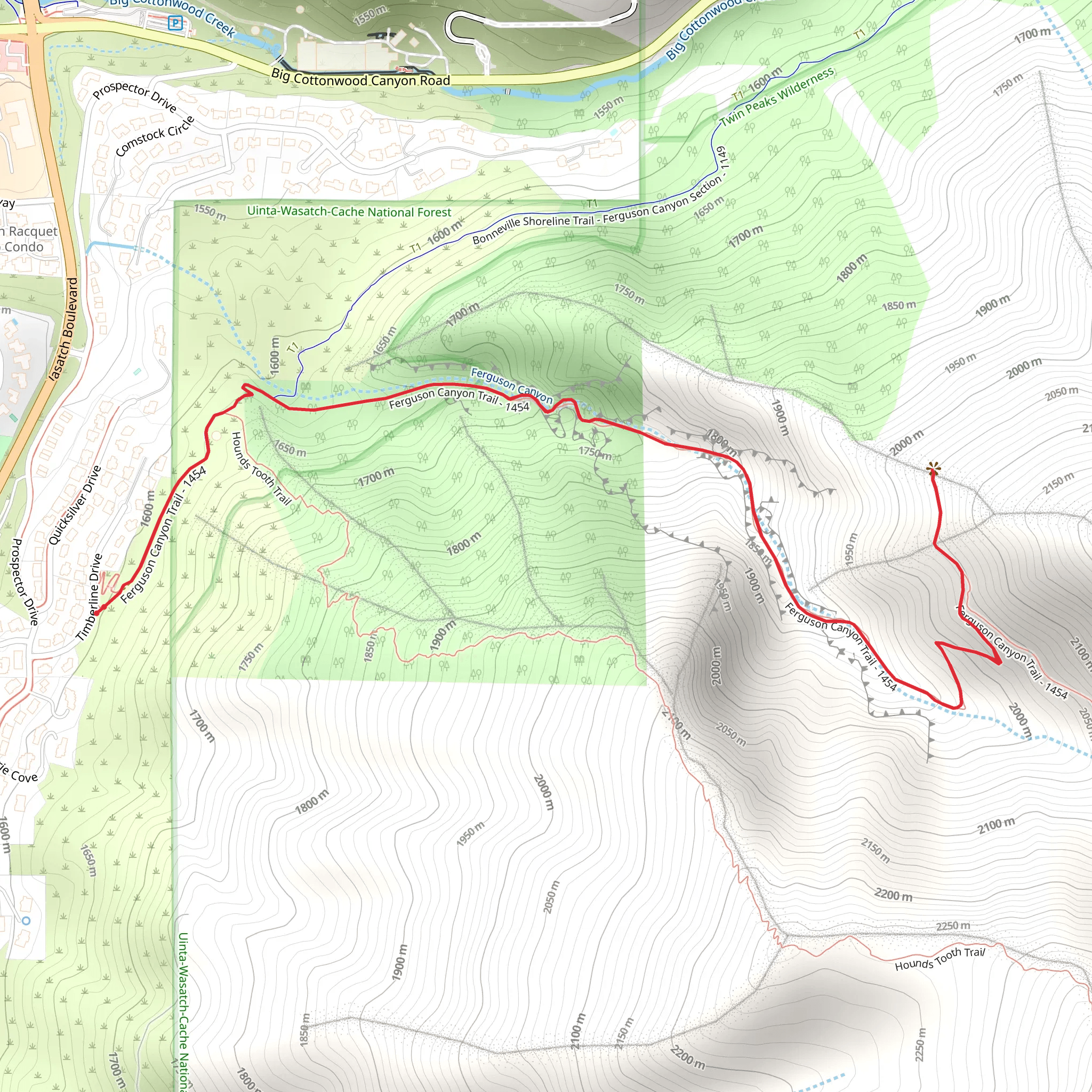 Ferguson Canyon Trail Out and Back mobile static map