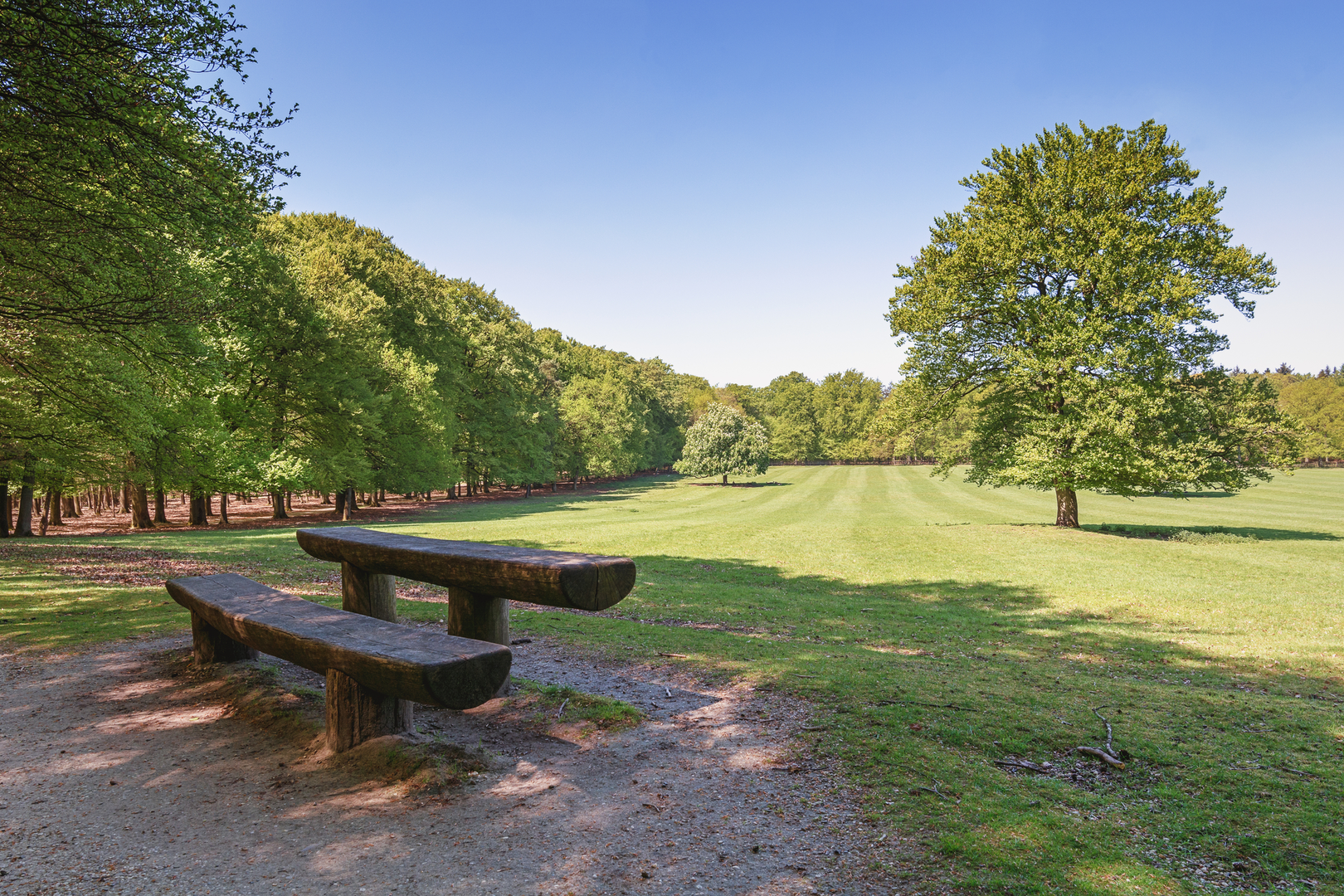 An image depicting the trail Bruggelen and Engelanderholt Loop and its surrounding area.