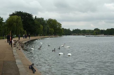 An image depicting the trail Hyde Park Loop and its surrounding area.