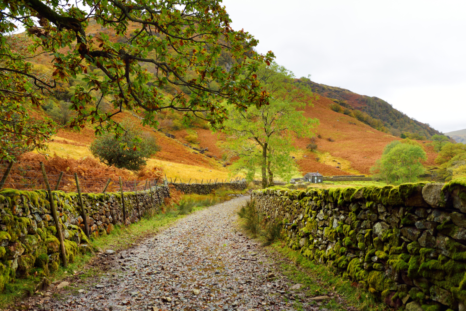 An image depicting the trail Eagle Crag and its surrounding area.