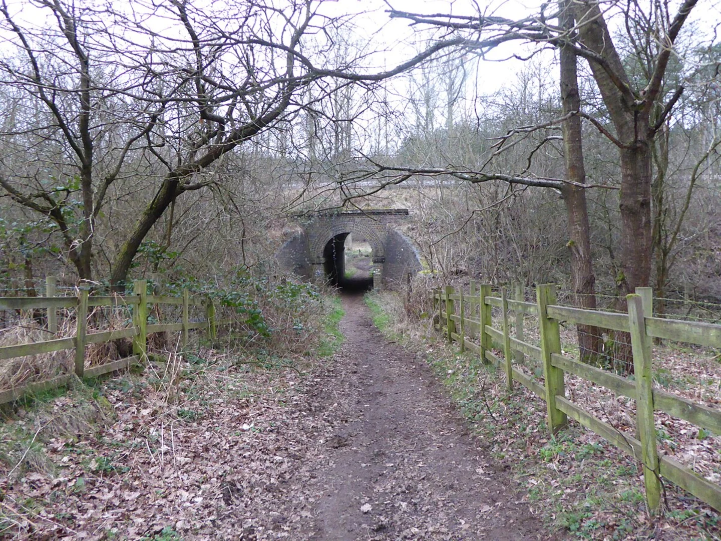 An image depicting the trail Harlestone Firs Loop and its surrounding area.