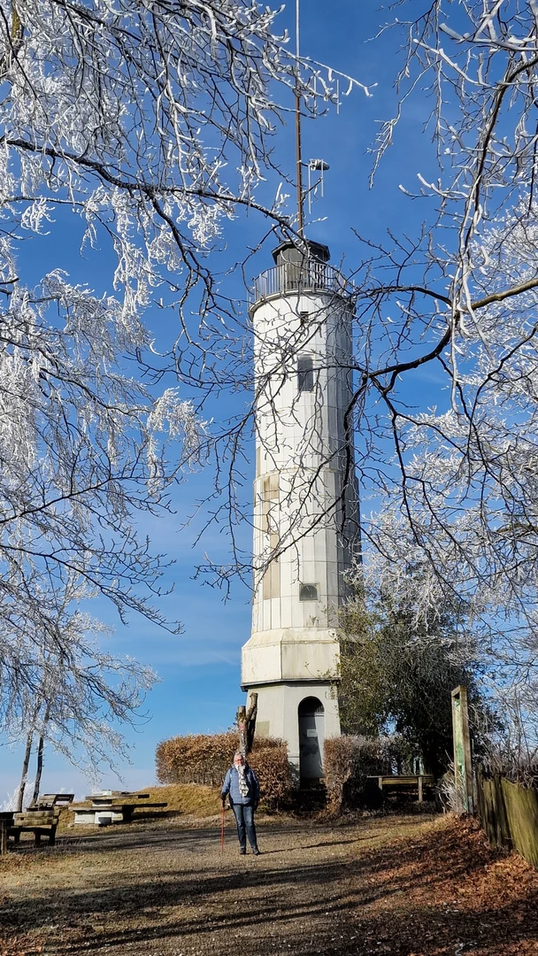 An image depicting the trail Homert und ehemaliger Truppenübungsplatz and its surrounding area.