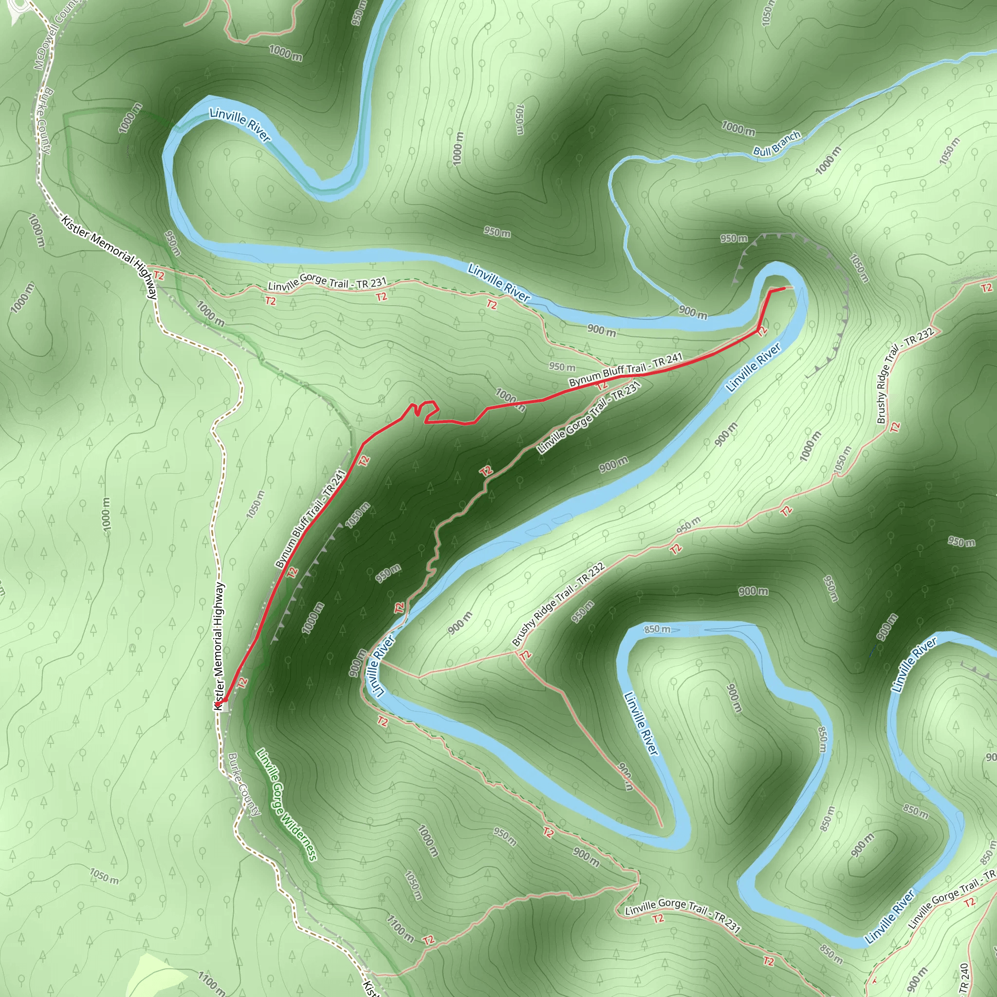 Bynum Bluff Trail mobile static map