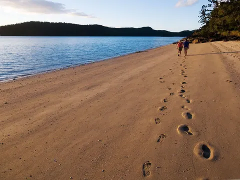 Dugong - Sawmill Track